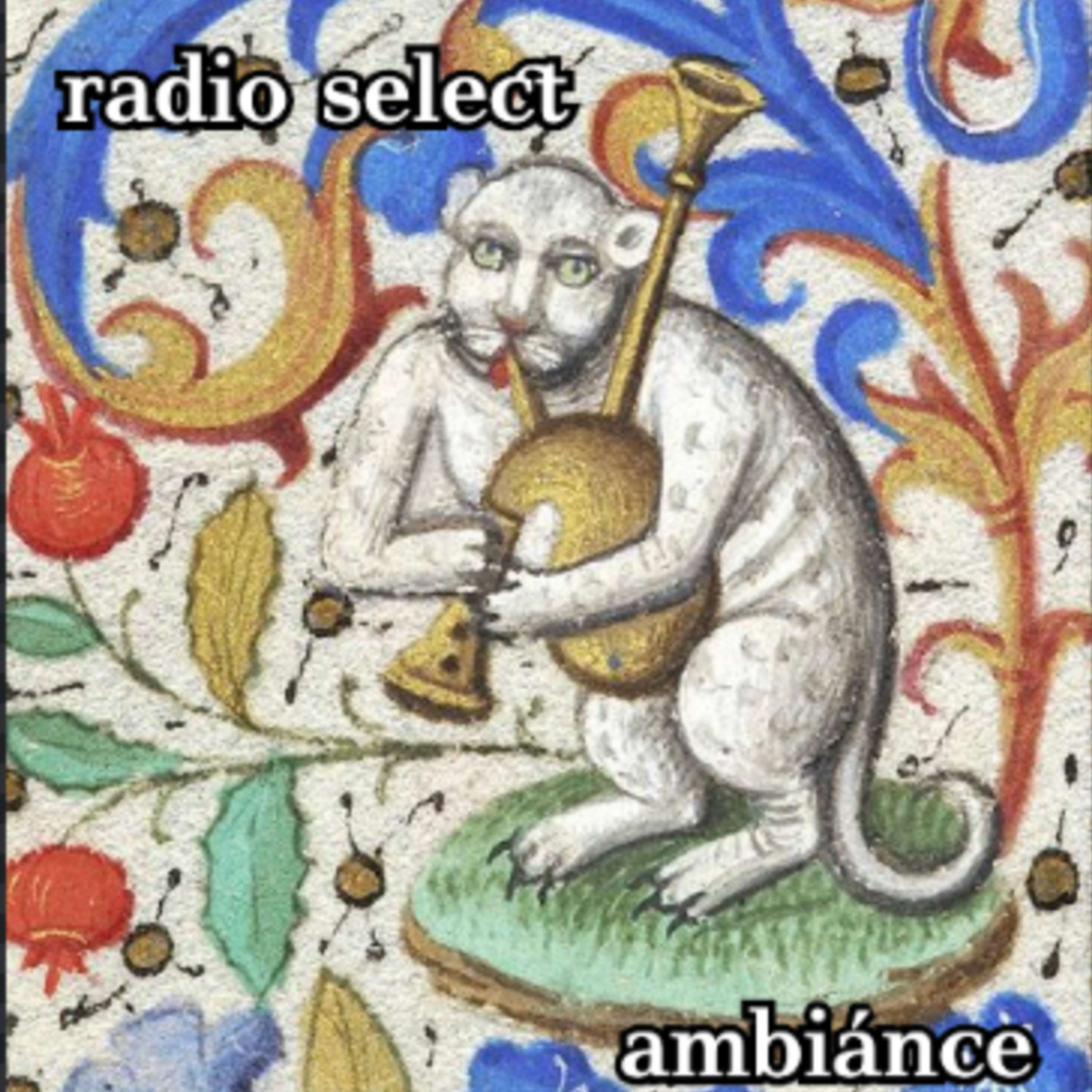 radio selection: ambiánce (preview)