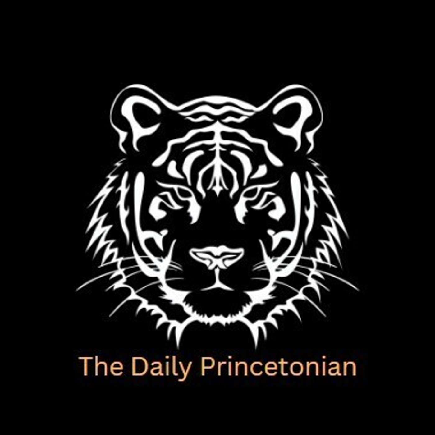 Social Computing w/ Dr. Andrés Monroy-Hernández