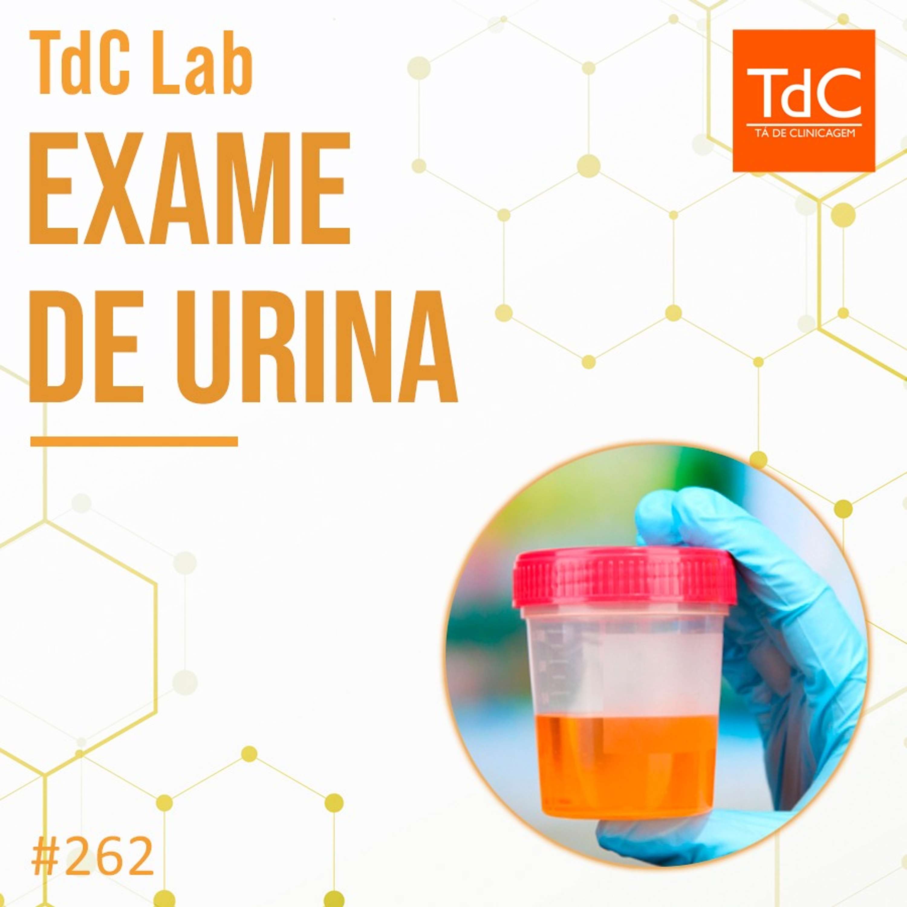 TdC 262: TdC Lab - Exame de urina