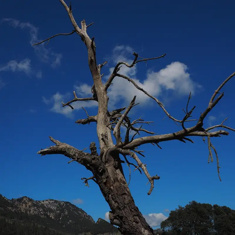 The End of Life