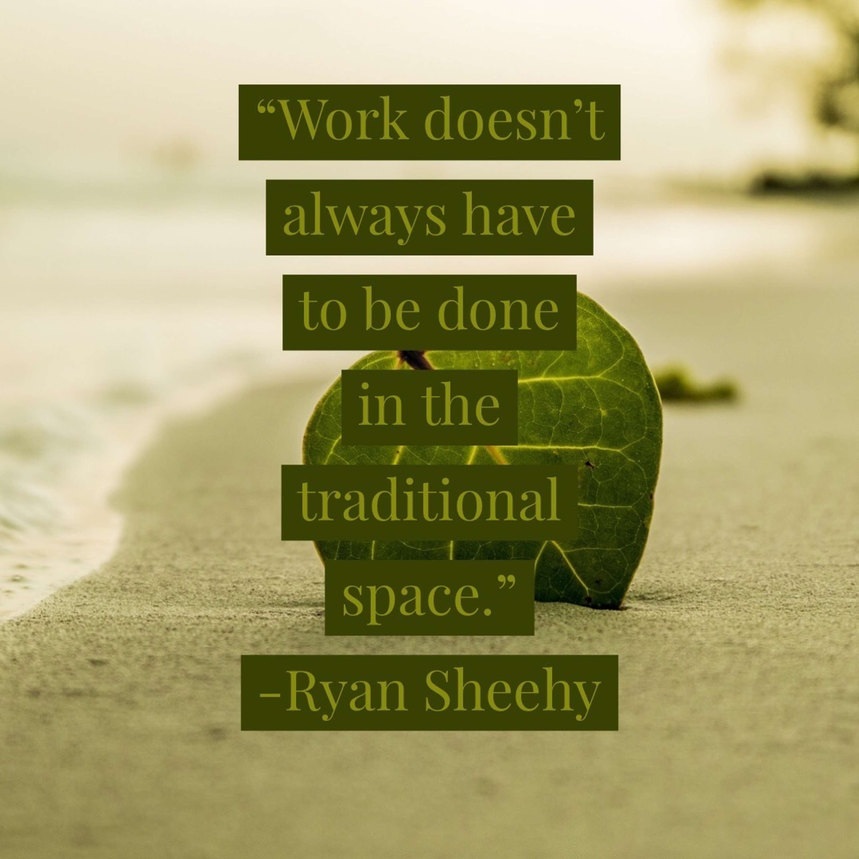 Transformative Principal