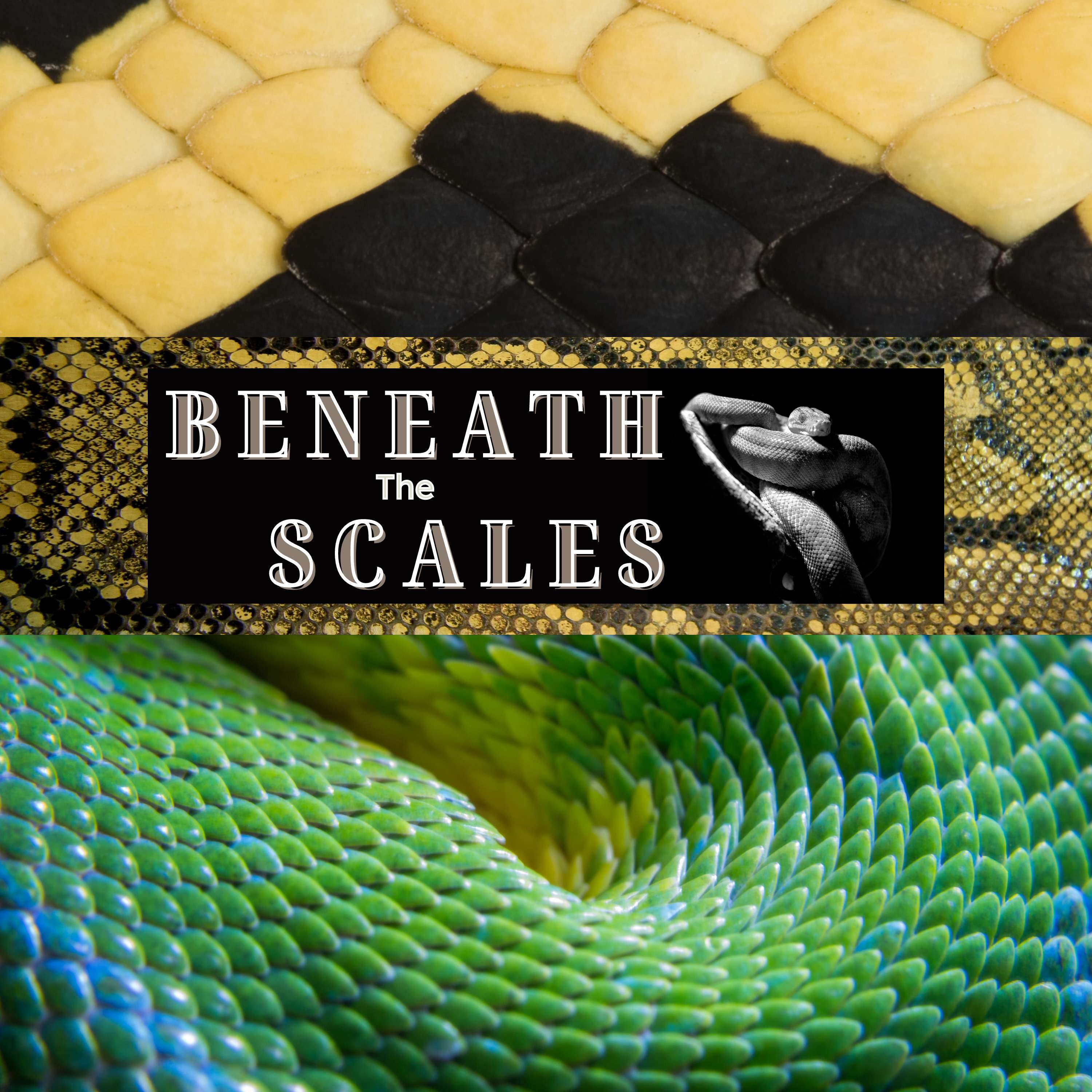 Beneath the Scales