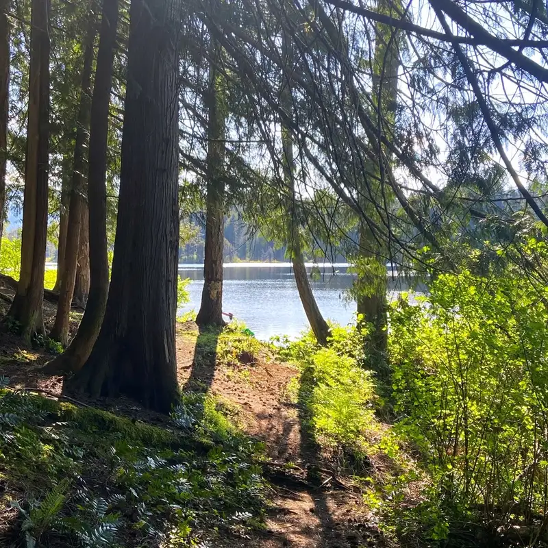 Comox Valley Regional District events raise watershed awareness