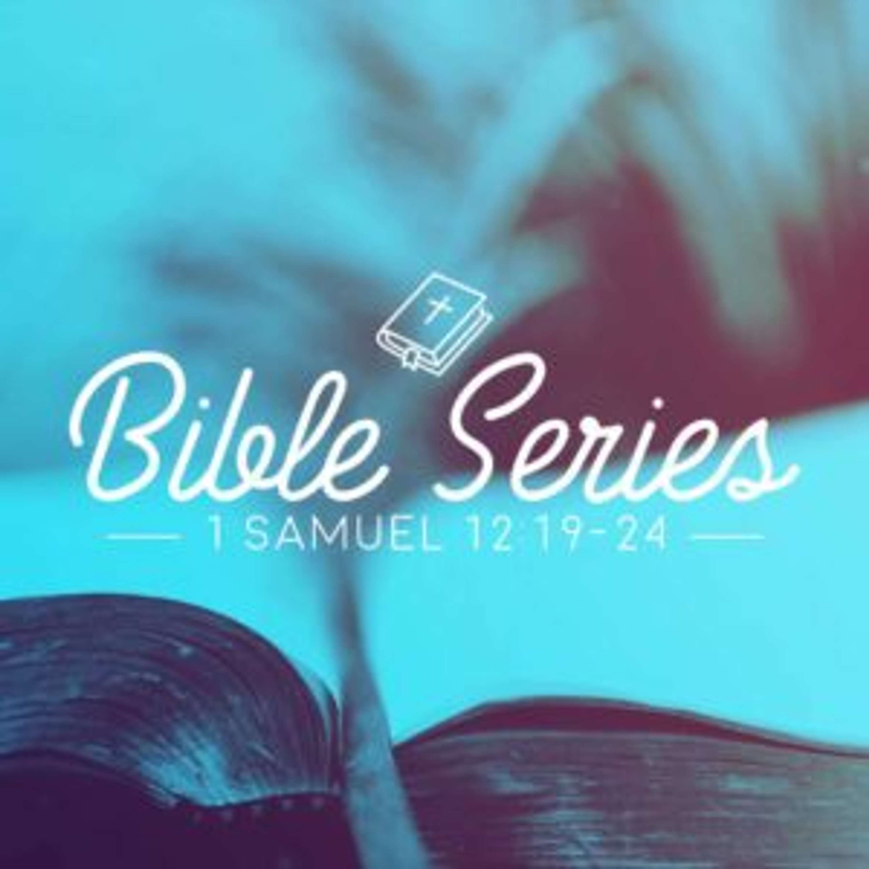 Your Bible: Book by Book