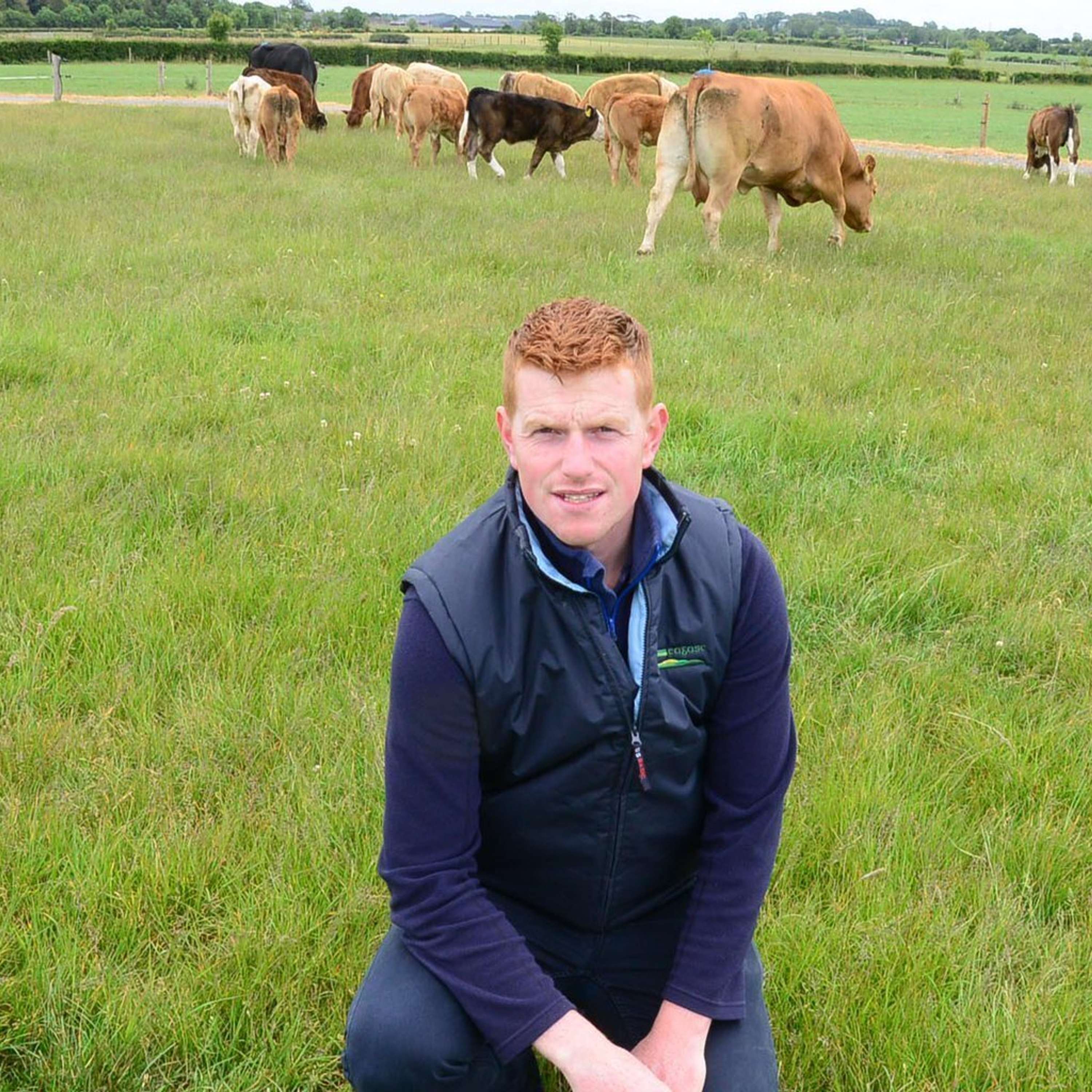 The latest from the Derrypatrick demonstration farm