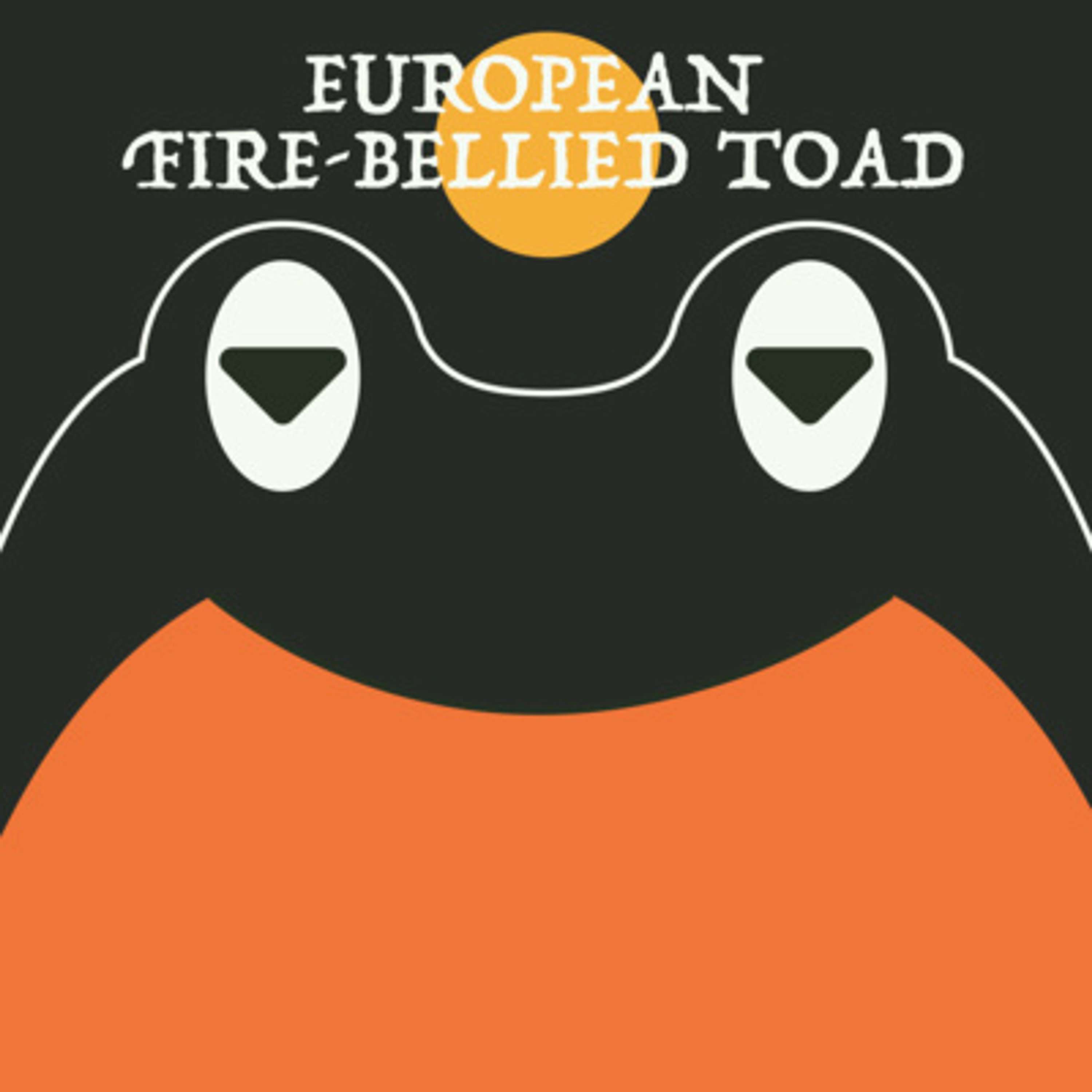 European Fire-Bellied Toad | Week of OcTOADber 11th