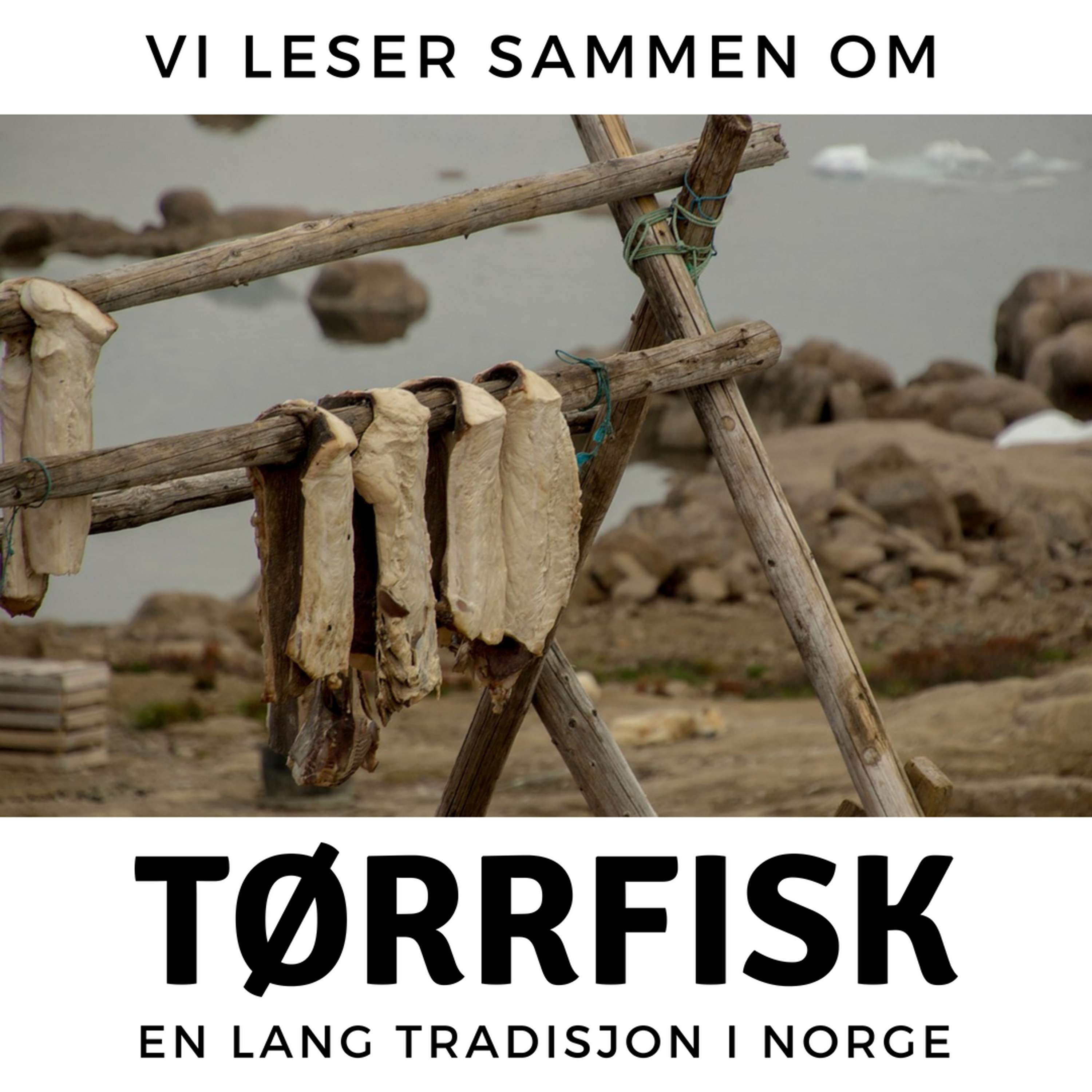 Relax With Slow Norwegian