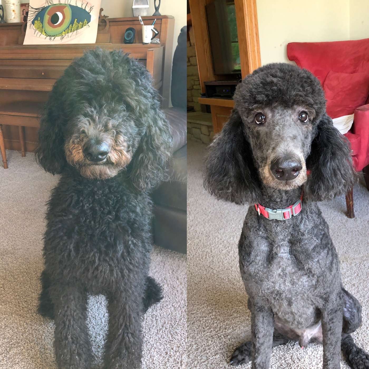 Episode 97 | Of Groundhogs and Seasons Episode 97 | Of Groundhogs and Seasons