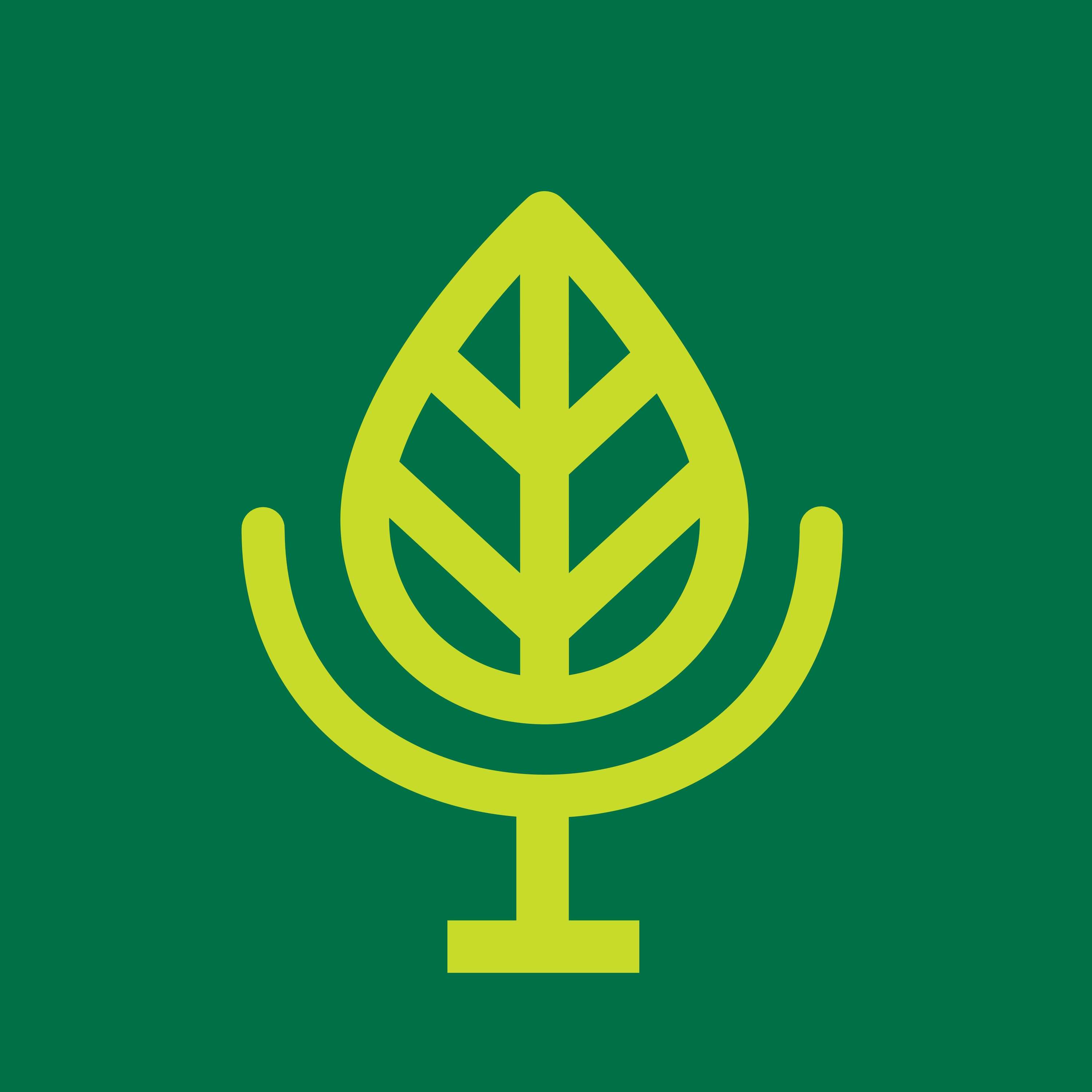 Terra Informa