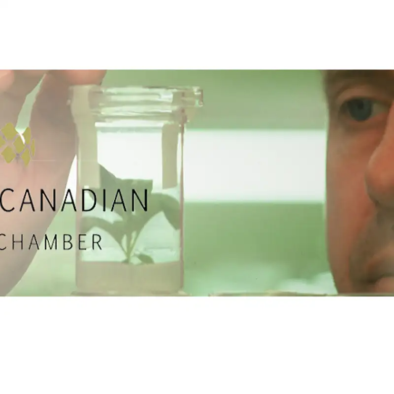 Les échanges Economiques entre le Canada et l’Europe à l'honneur dans le cadre du séminaire CETA organisé par la chambre de commerce Belge