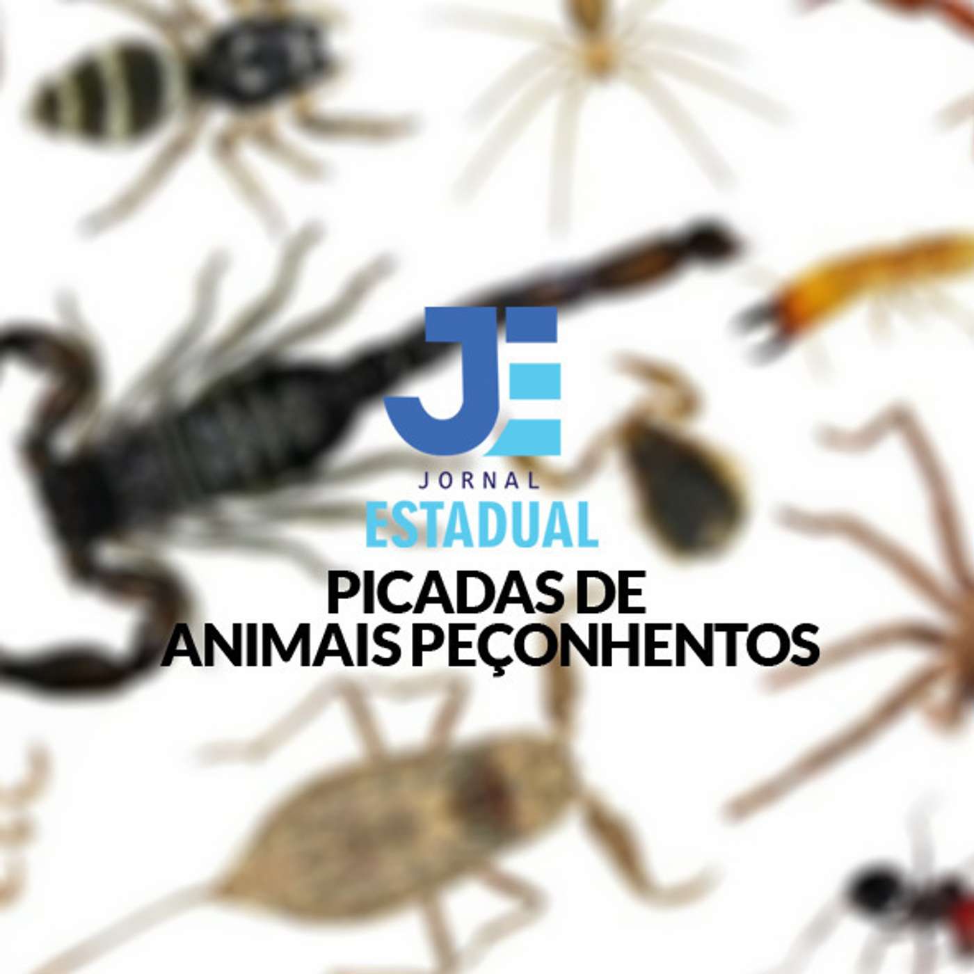 Matéria - Picada de Animais Peçonhentos episode artwork