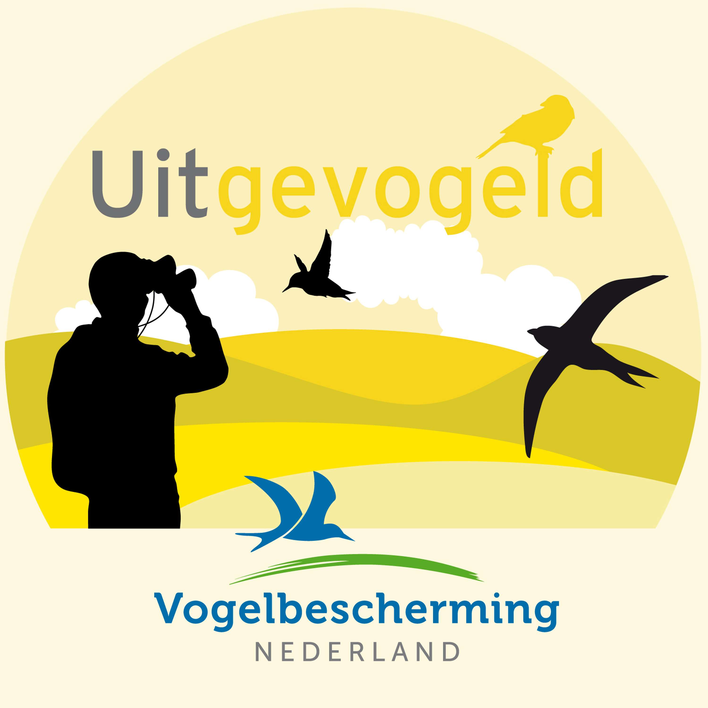 De geluksvogel: de ooievaar!