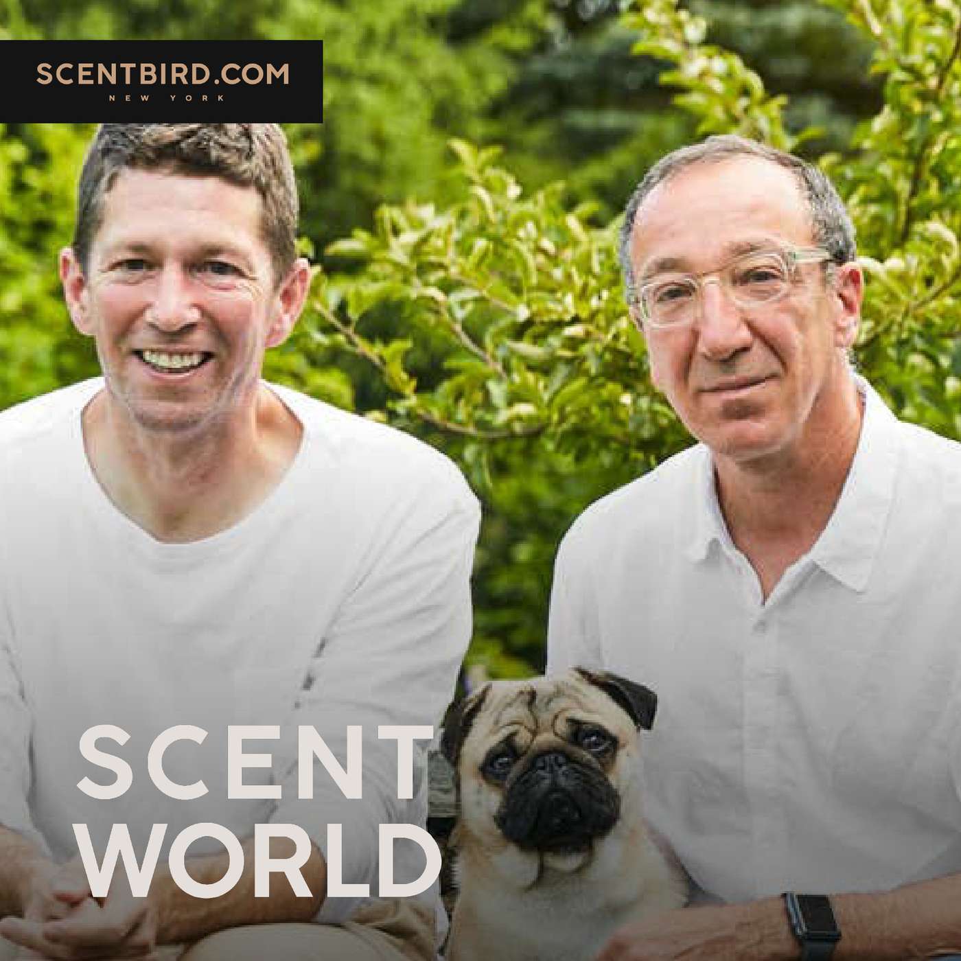 Scent World
