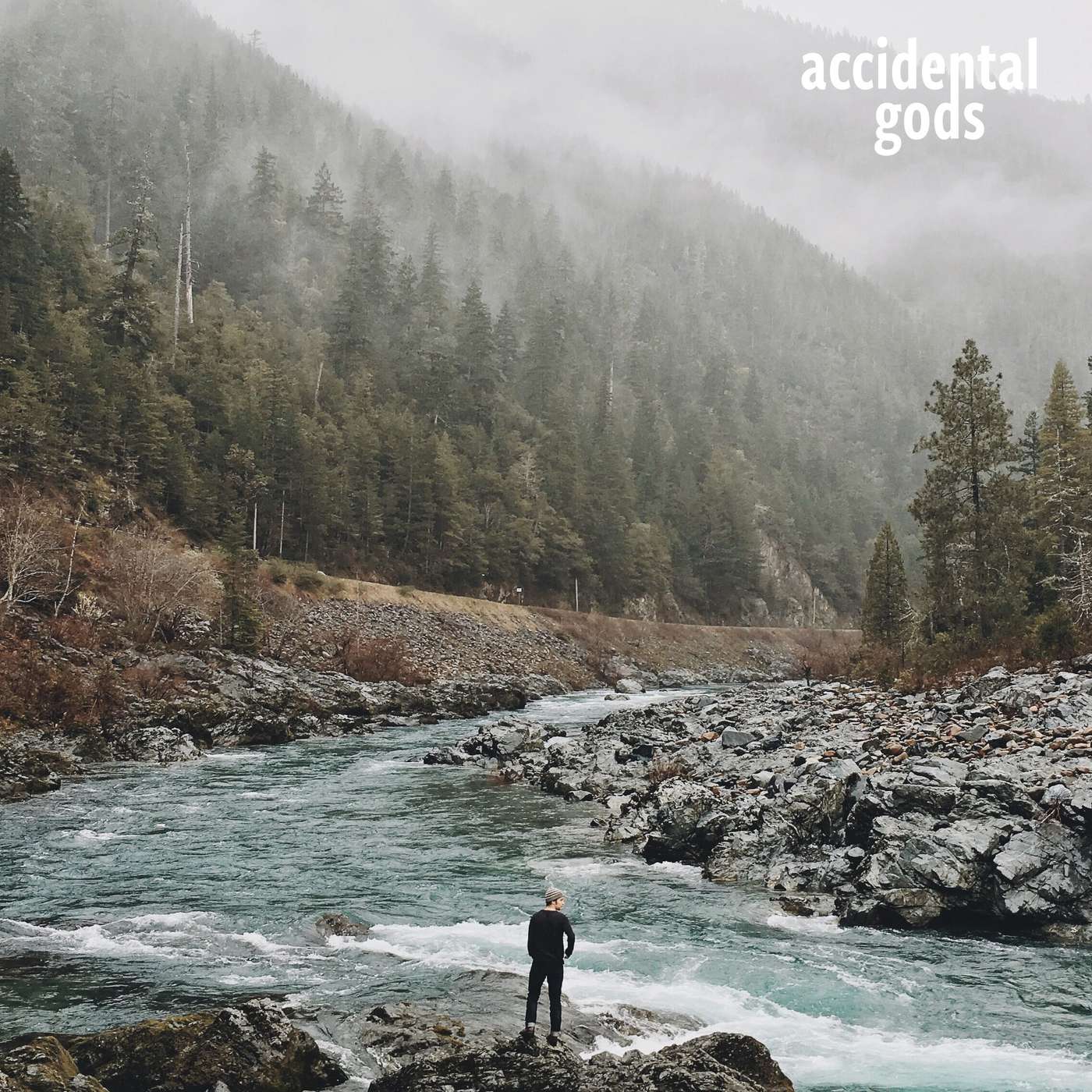 Accidental Gods