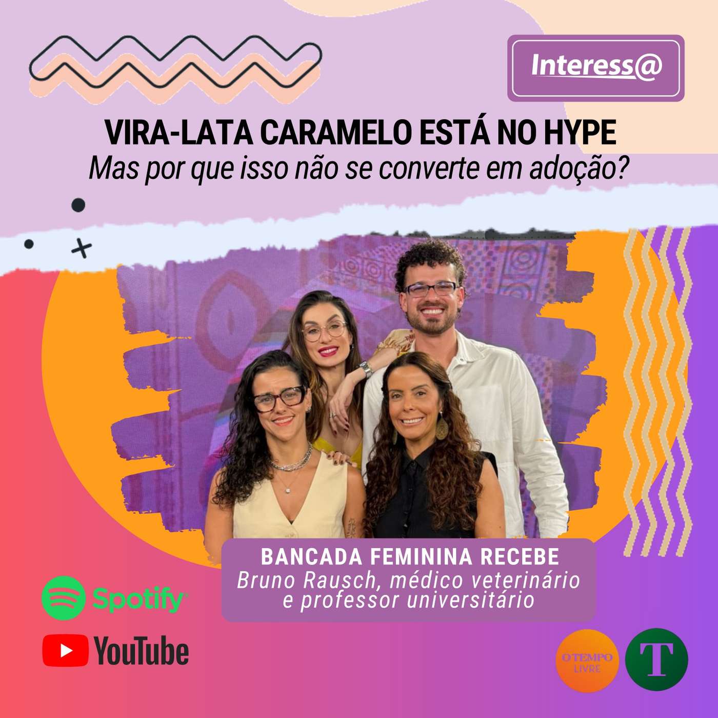 Dias de Glória? Vira-lata caramelo está no hype, mas sucesso não se converte em adoção Dias de Glória? Vira-lata caramelo está no hype, mas sucesso não se converte em adoção