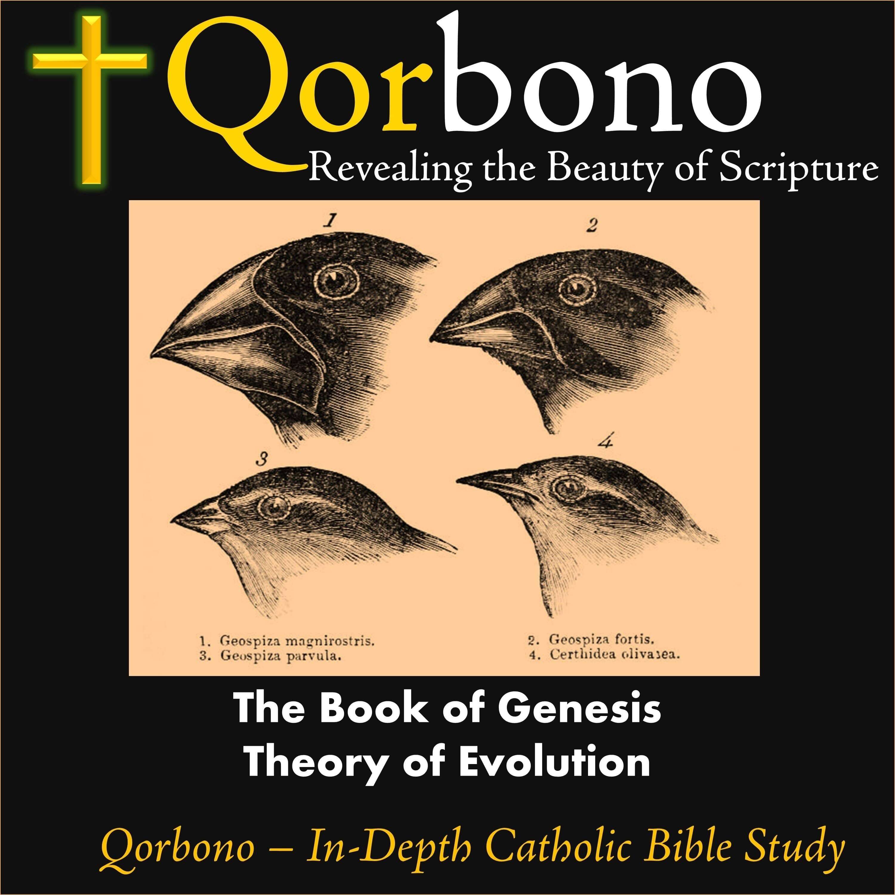 The Book of Genesis