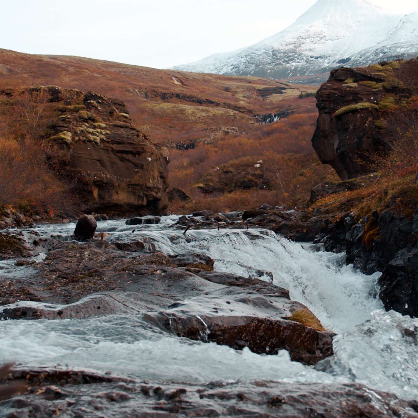 De geboorte van de Oude van dagen (Johannes 18:37)