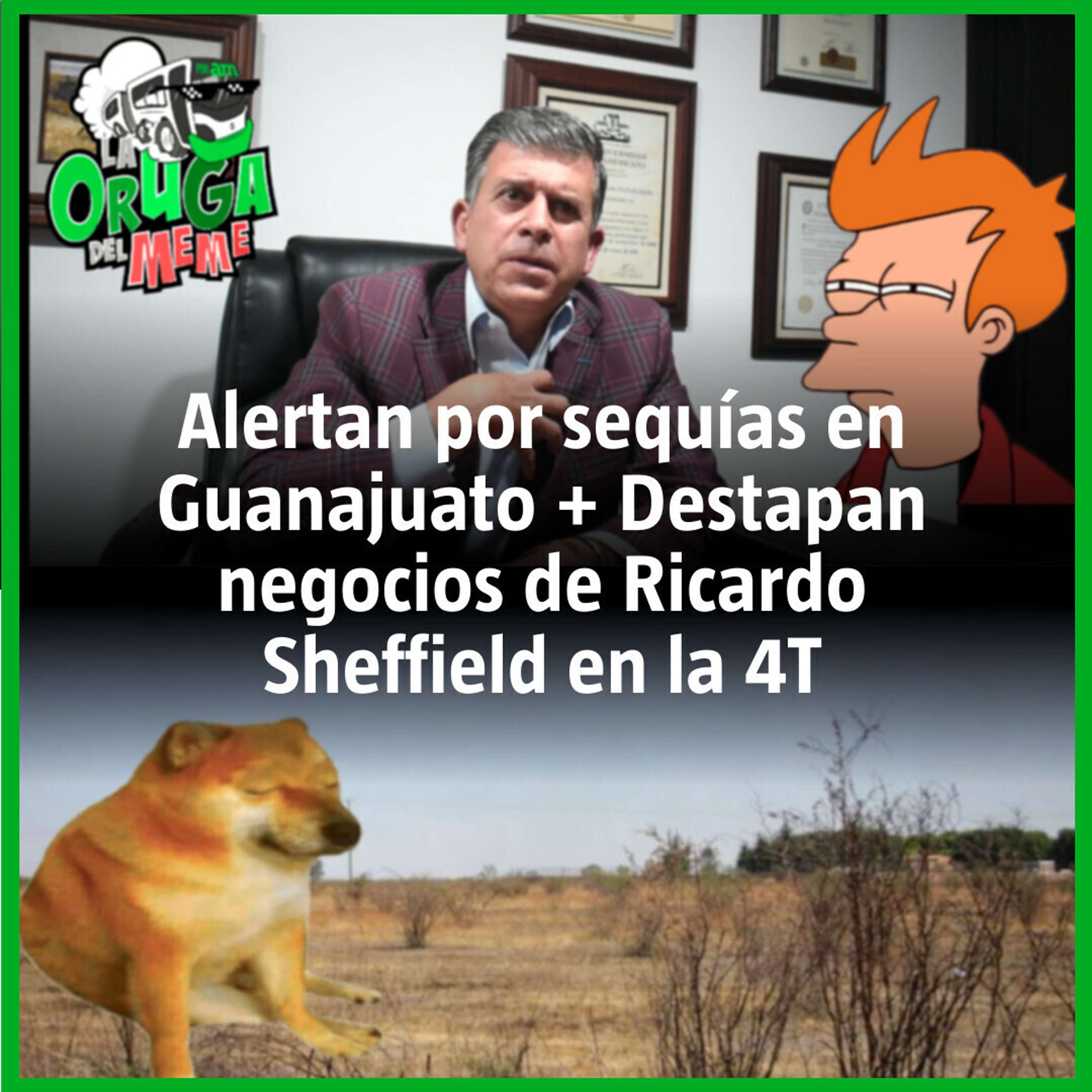 La Oruga del Meme