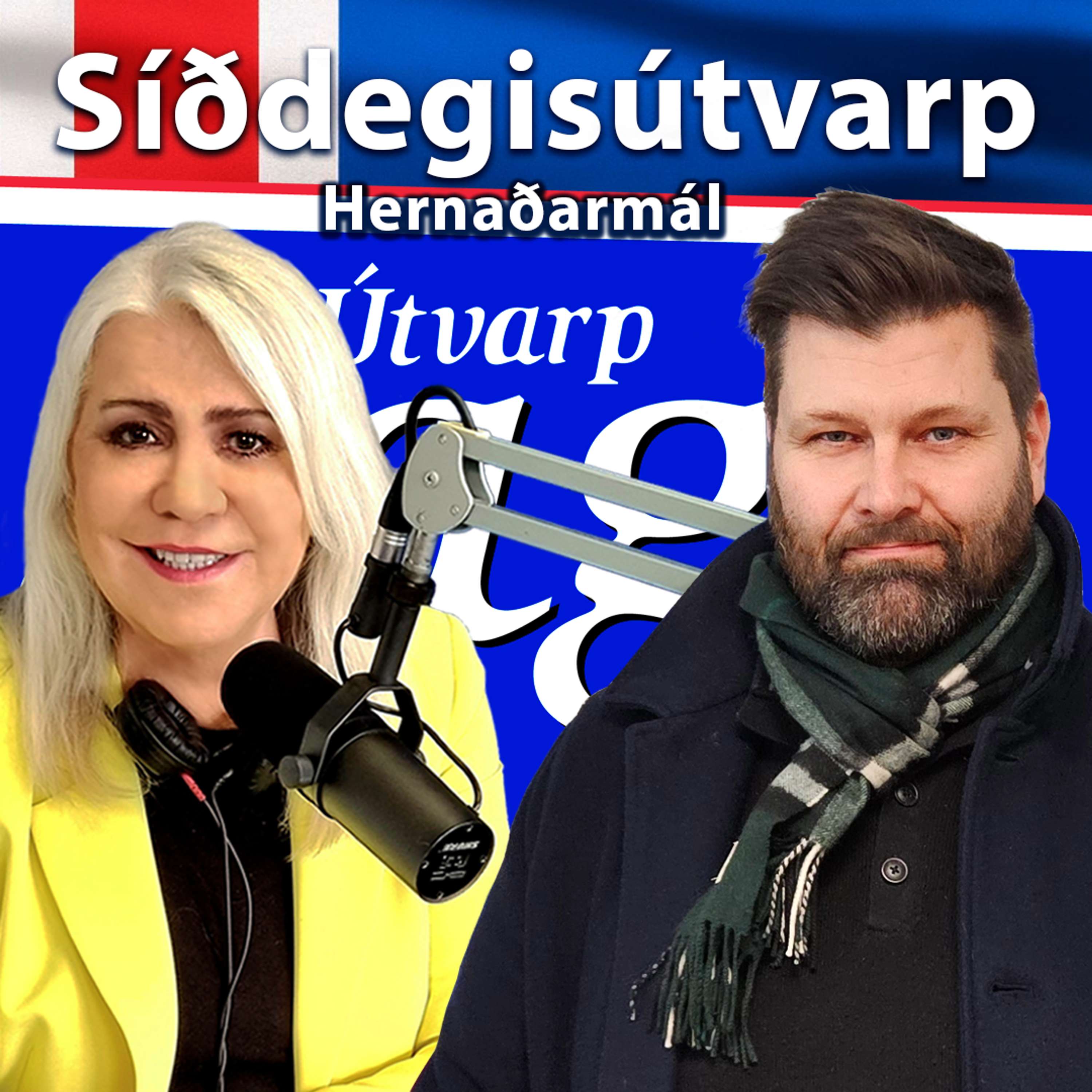 Varnar- og Öryggismálin - Erlingur Erlingsson
