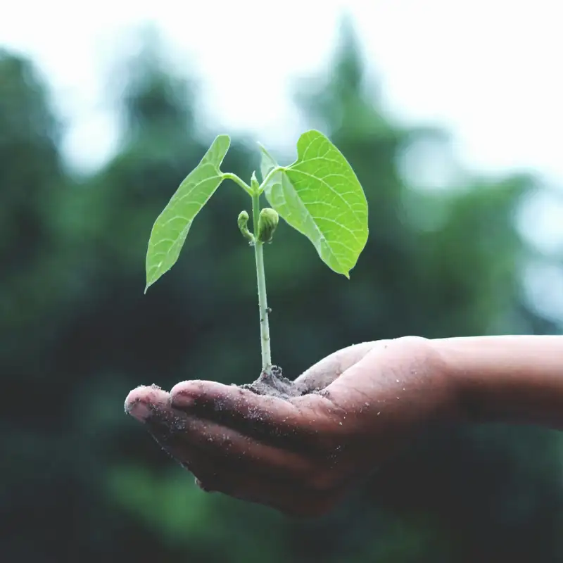 ÉCOLOGIE - Journée mondiale de l'environnement, le combat contre la pollution plastique continue en 2025
