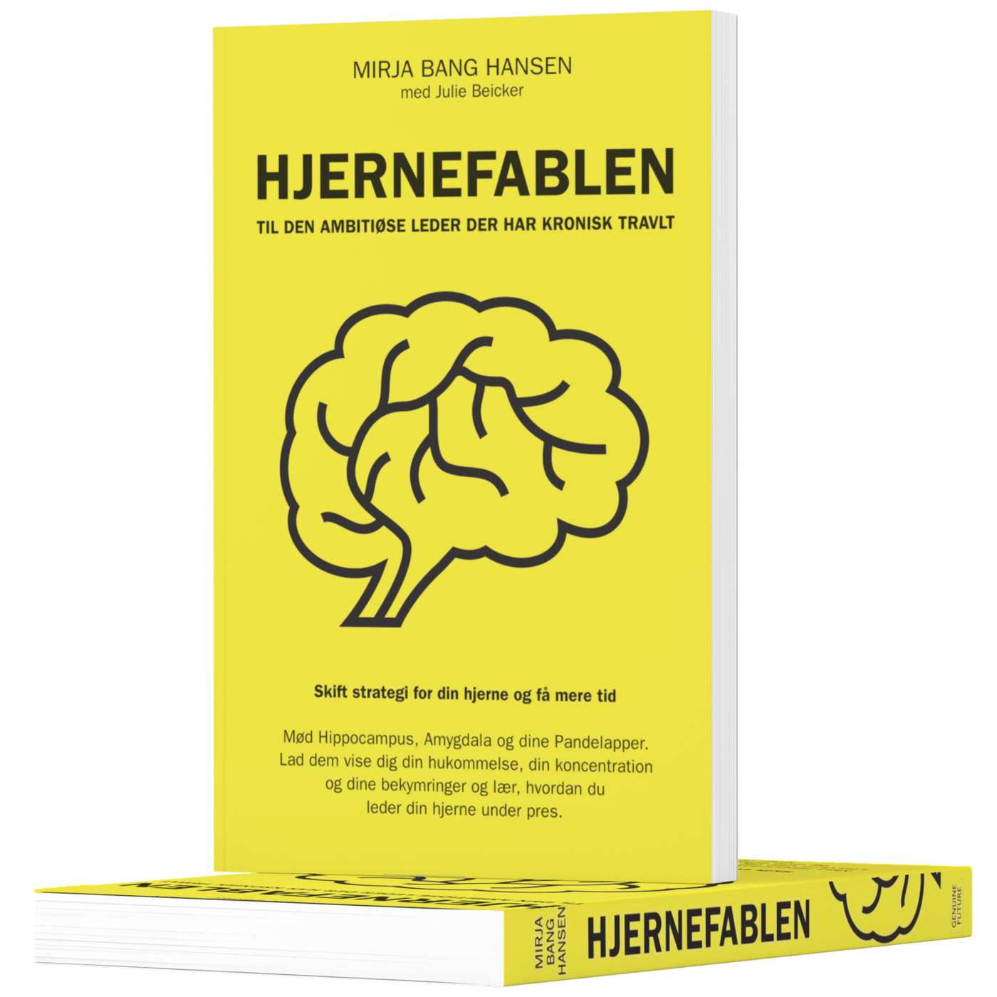 Indledning til Hjernefablen