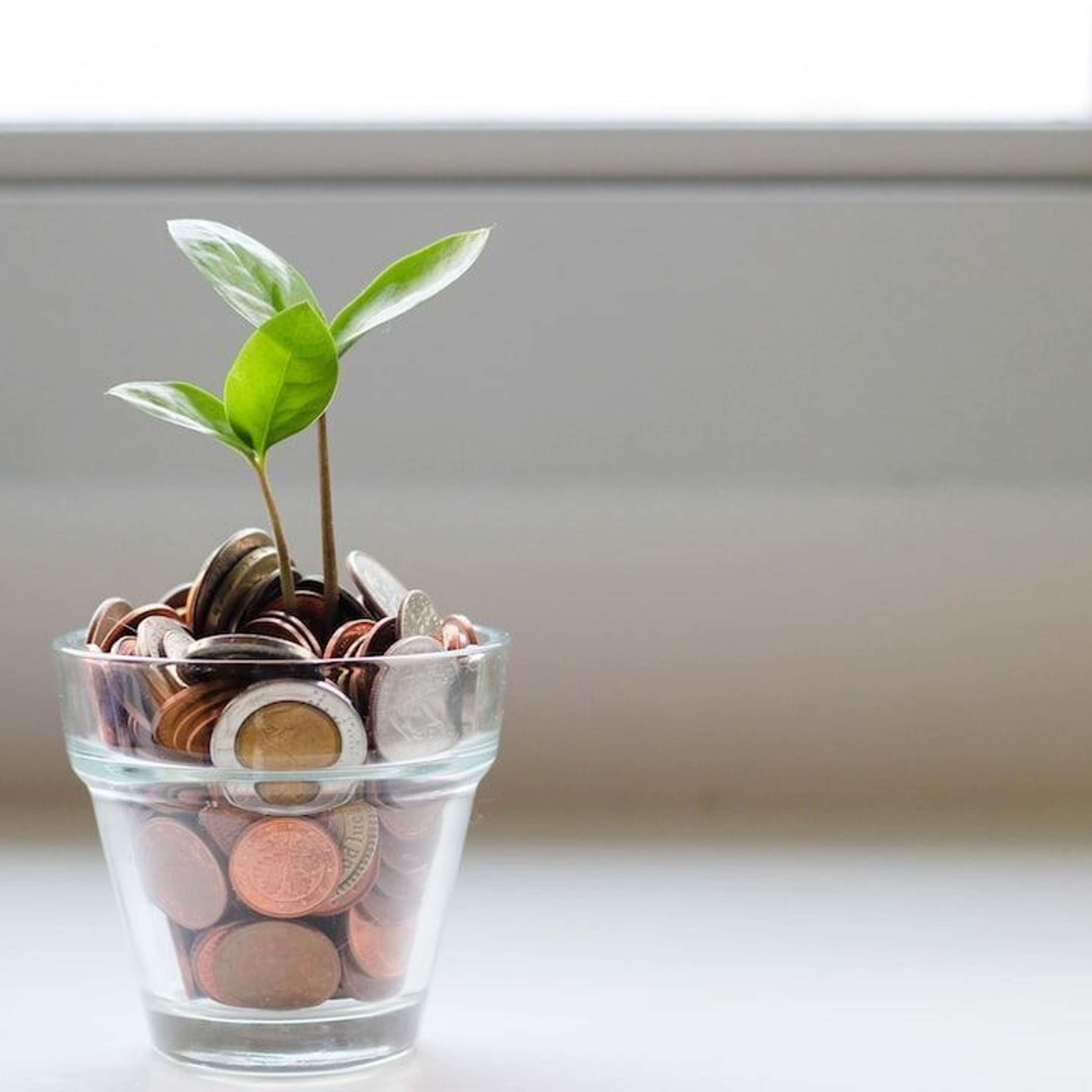 What Will VC Investment Look Like in the Year Ahead?