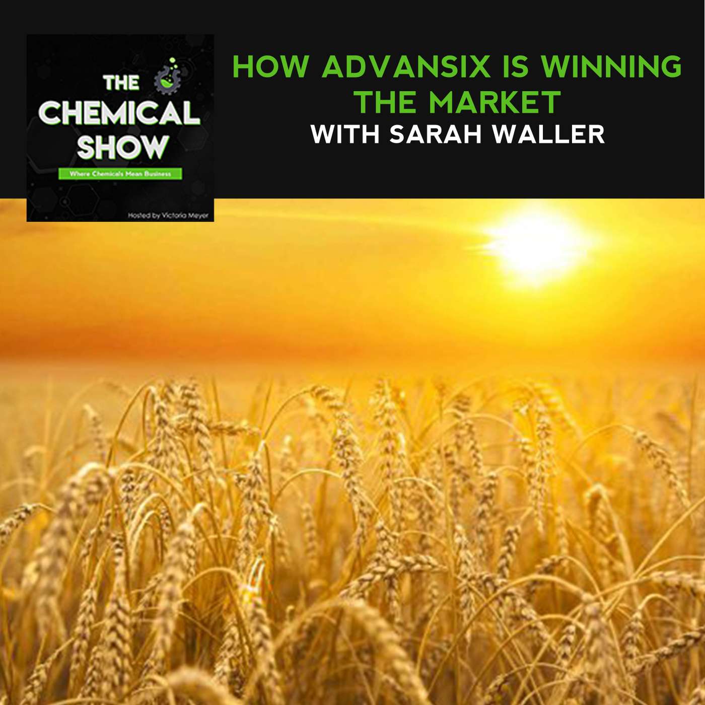 How AdvanSix Is Winning The Market With Sarah Waller - Ep. 75