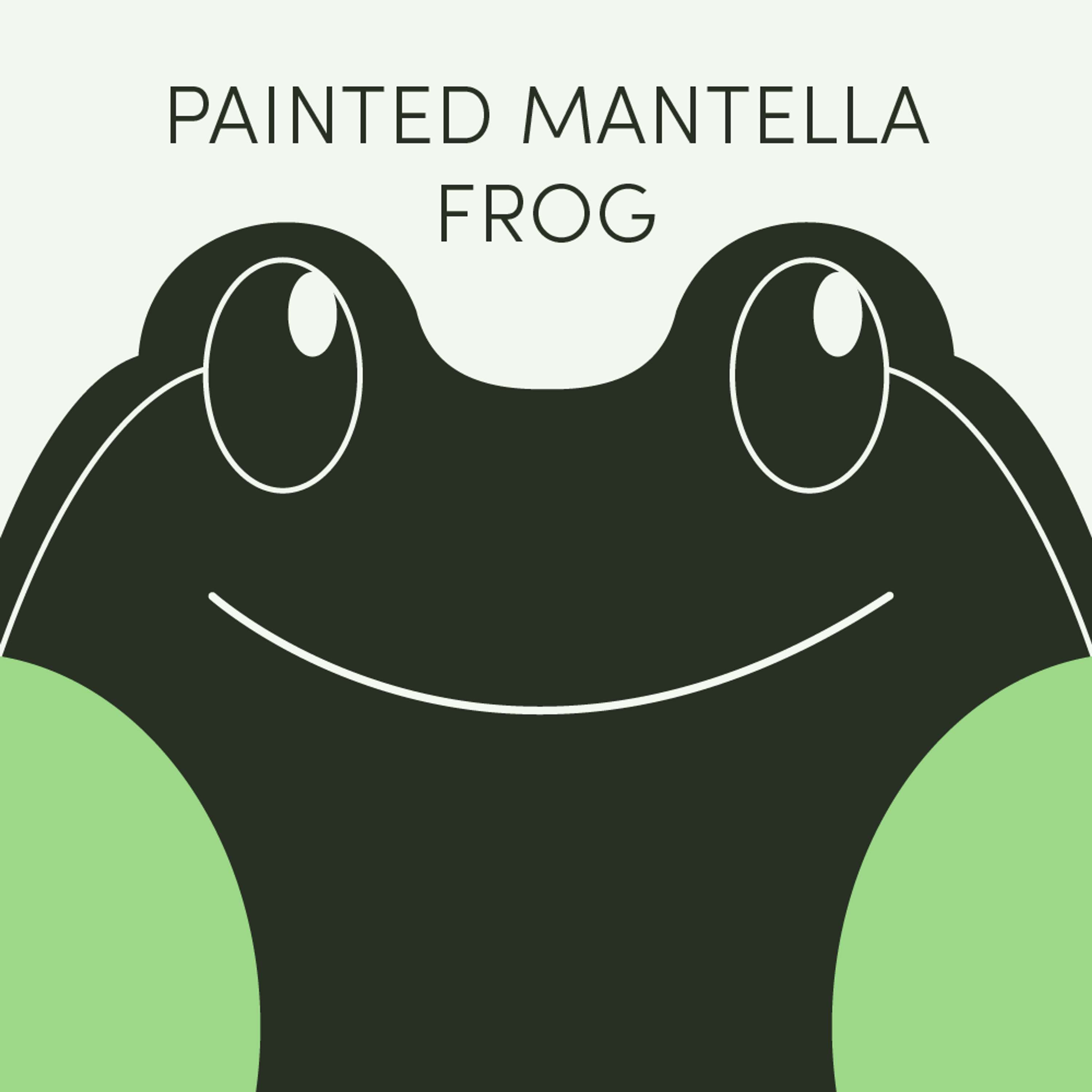 Painted Mantella Frog | Week of August 5th