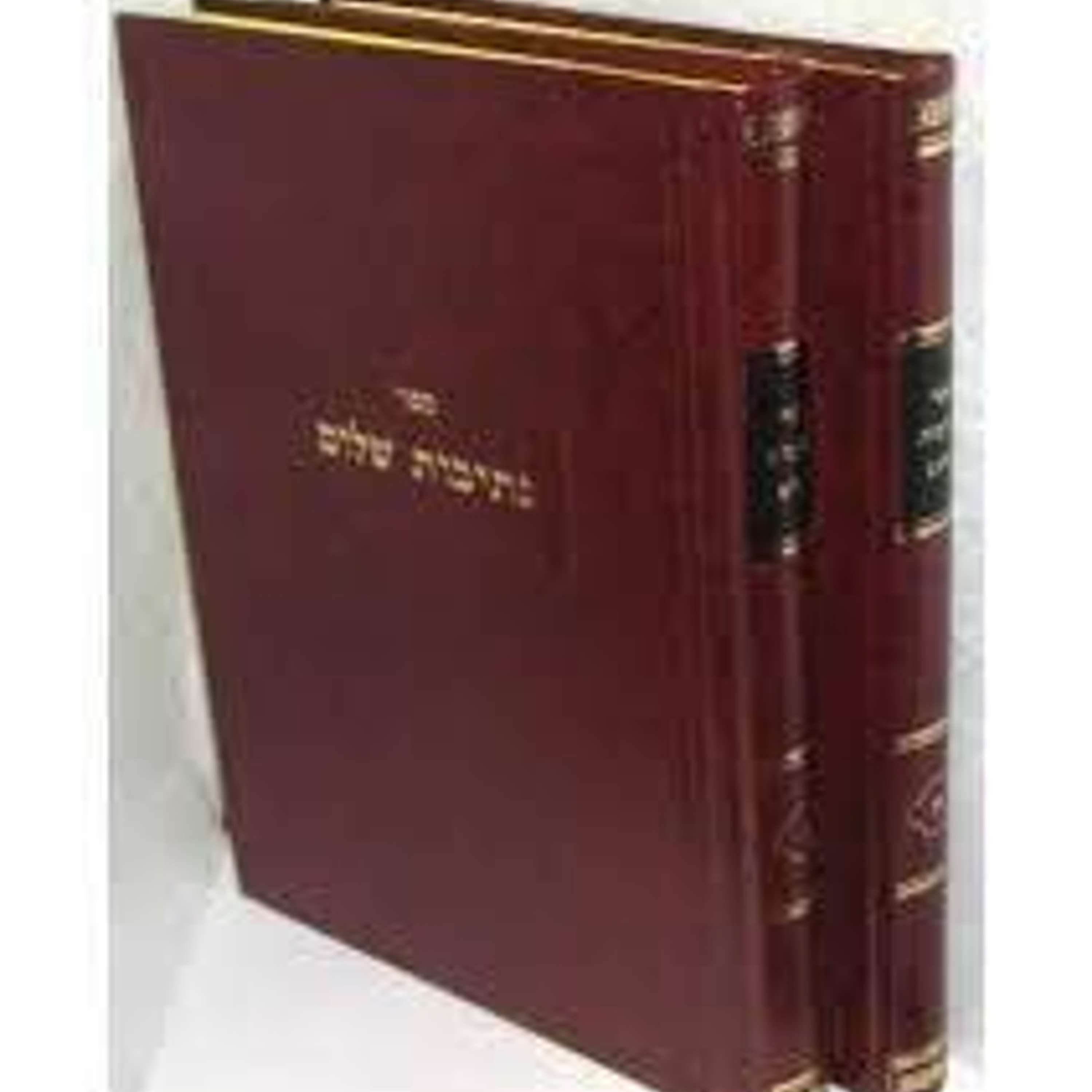 Shem Mishmuel on Aleph b' Shvat