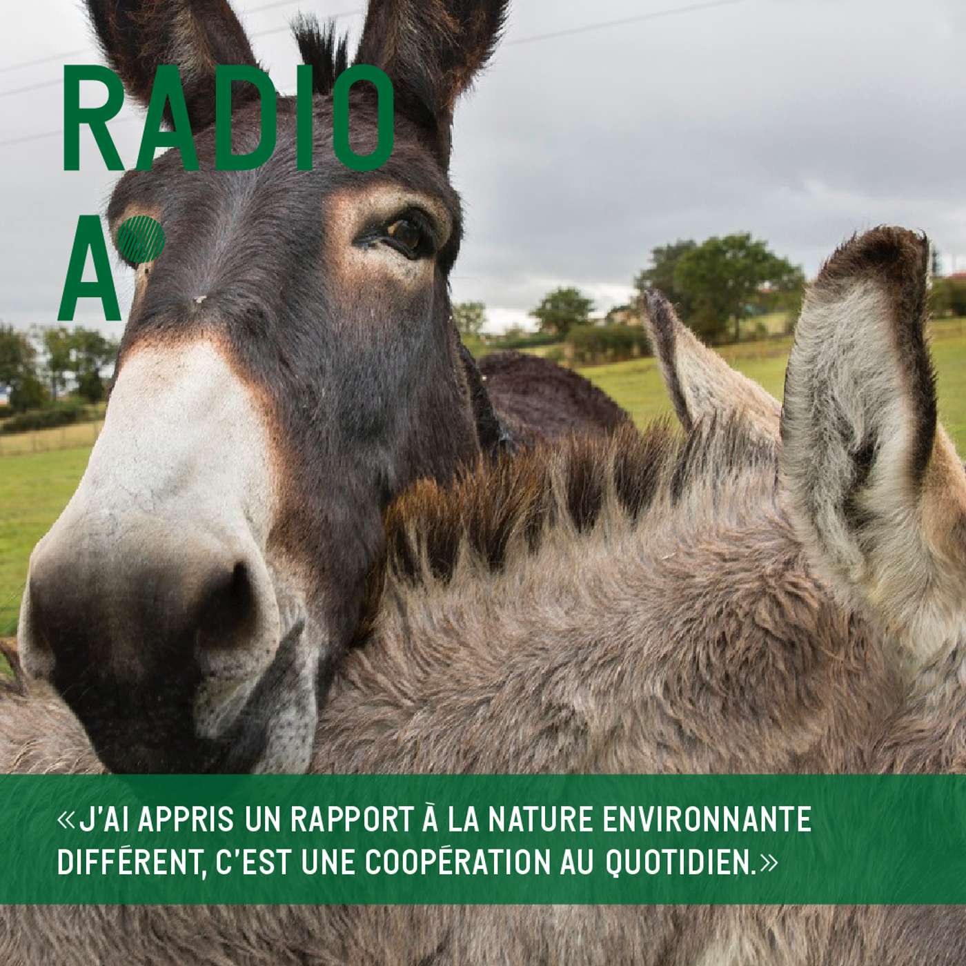 Les mains dans la terre - et si on collaborait avec le vivant ?