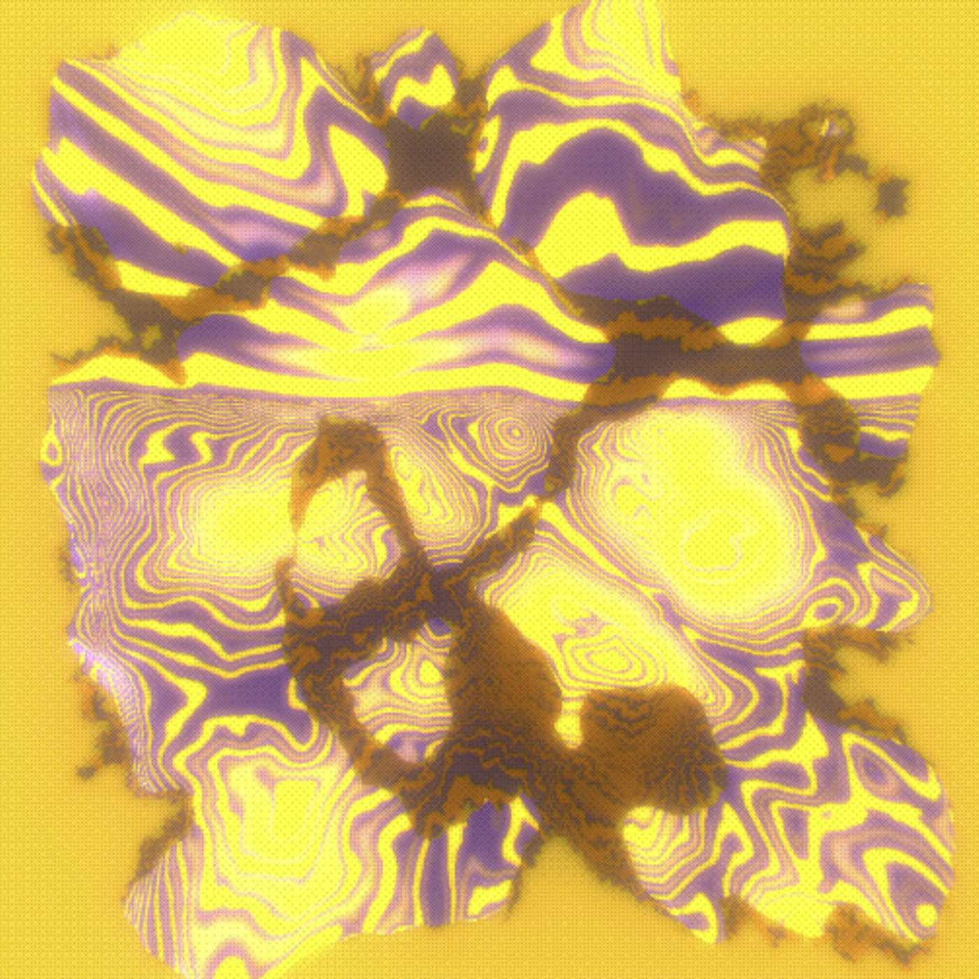 Bitcoin roars, great art releasing, and more | Cornering The Market #61