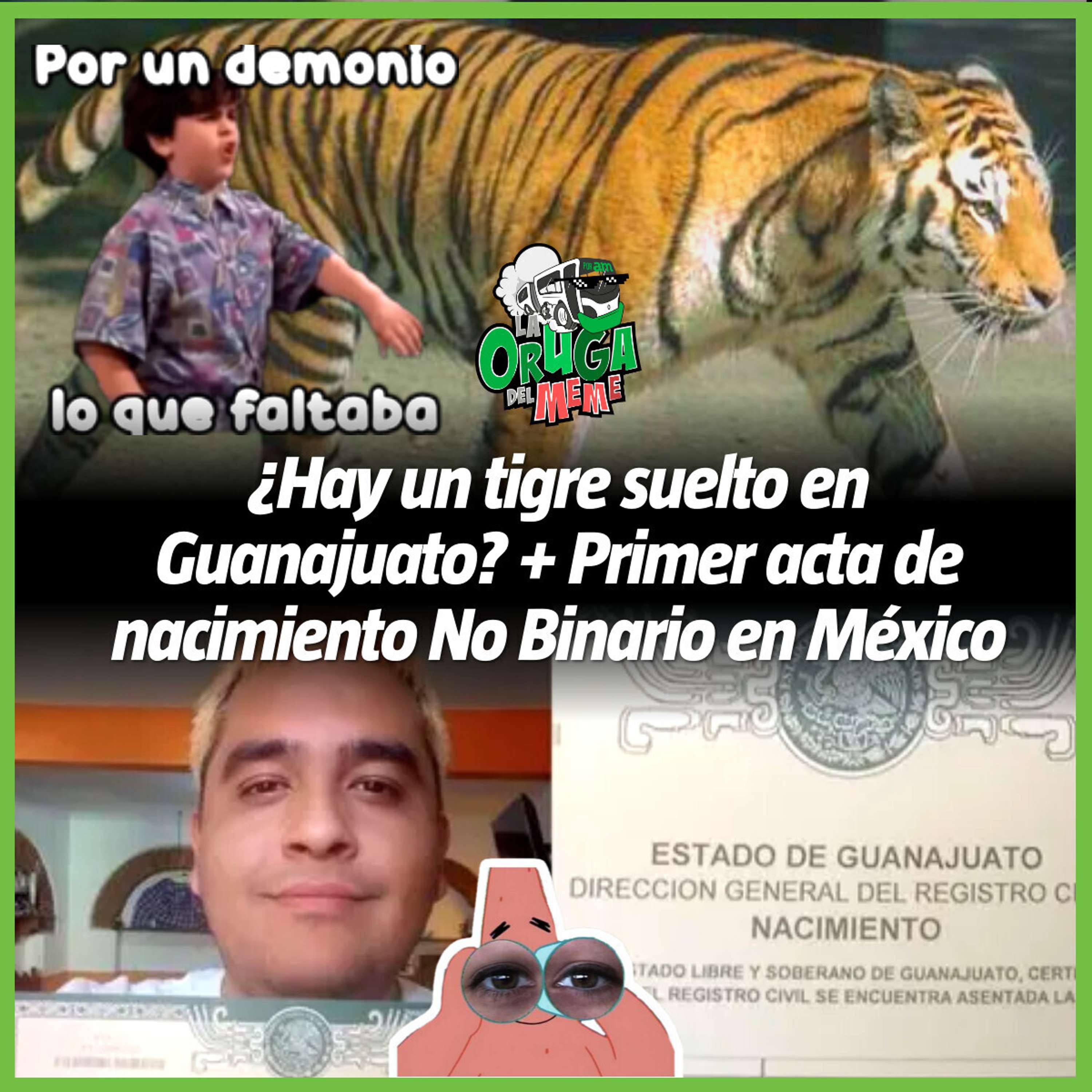 La Oruga del Meme