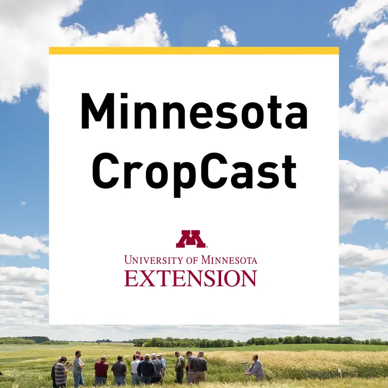Corn and soybean update from Jay Zielske and Jared Goplen