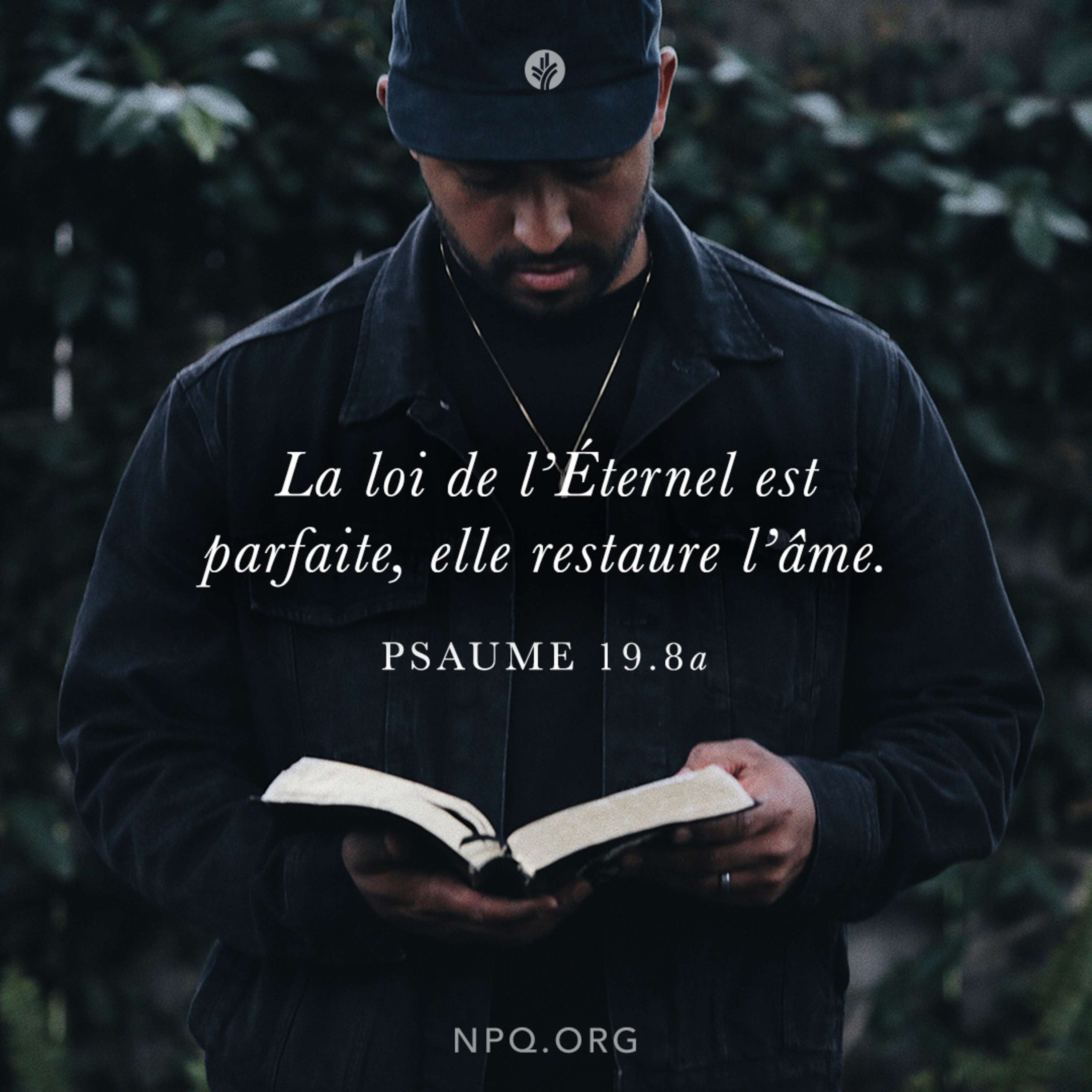 Notre Pain Quotidien podcast