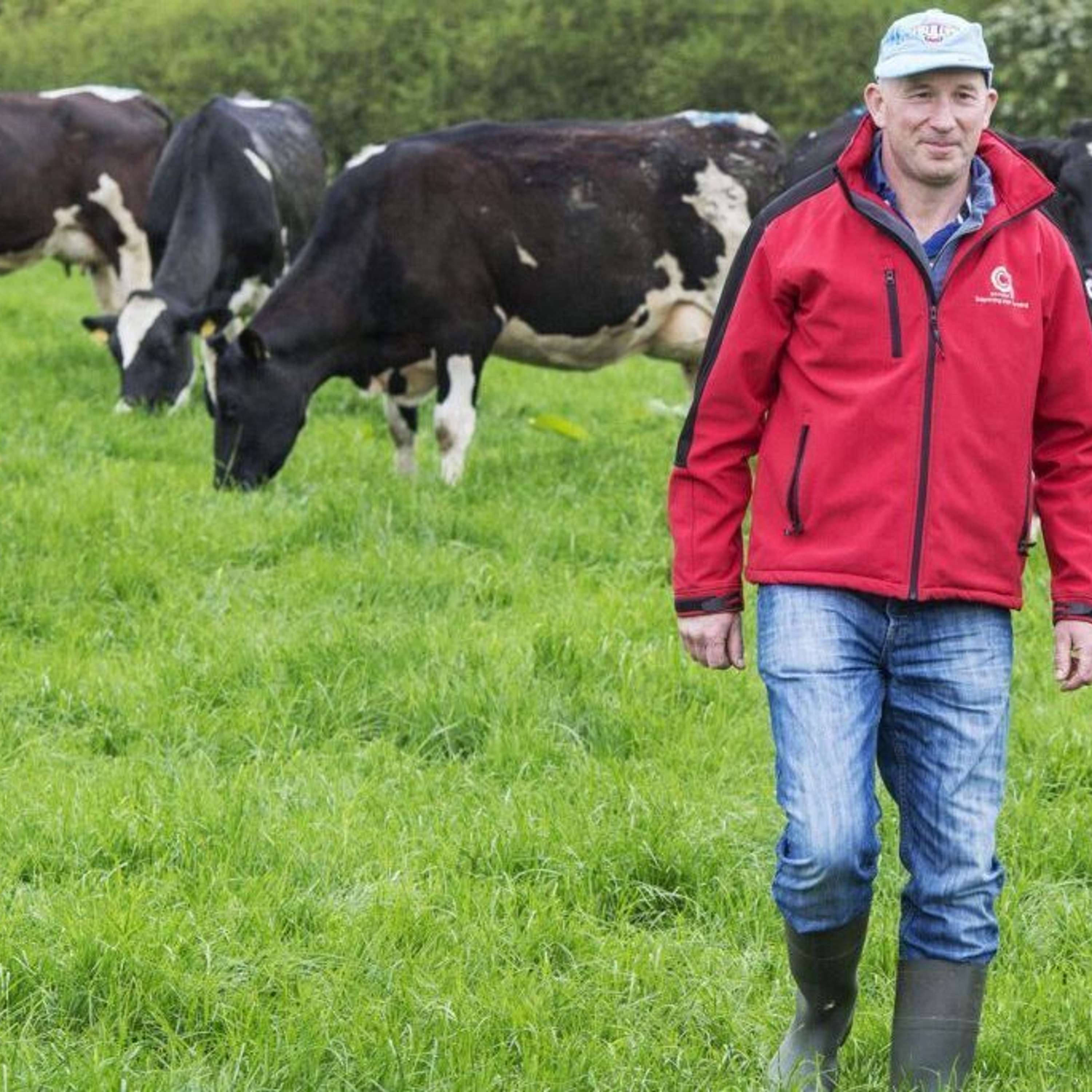 The Dairy Edge