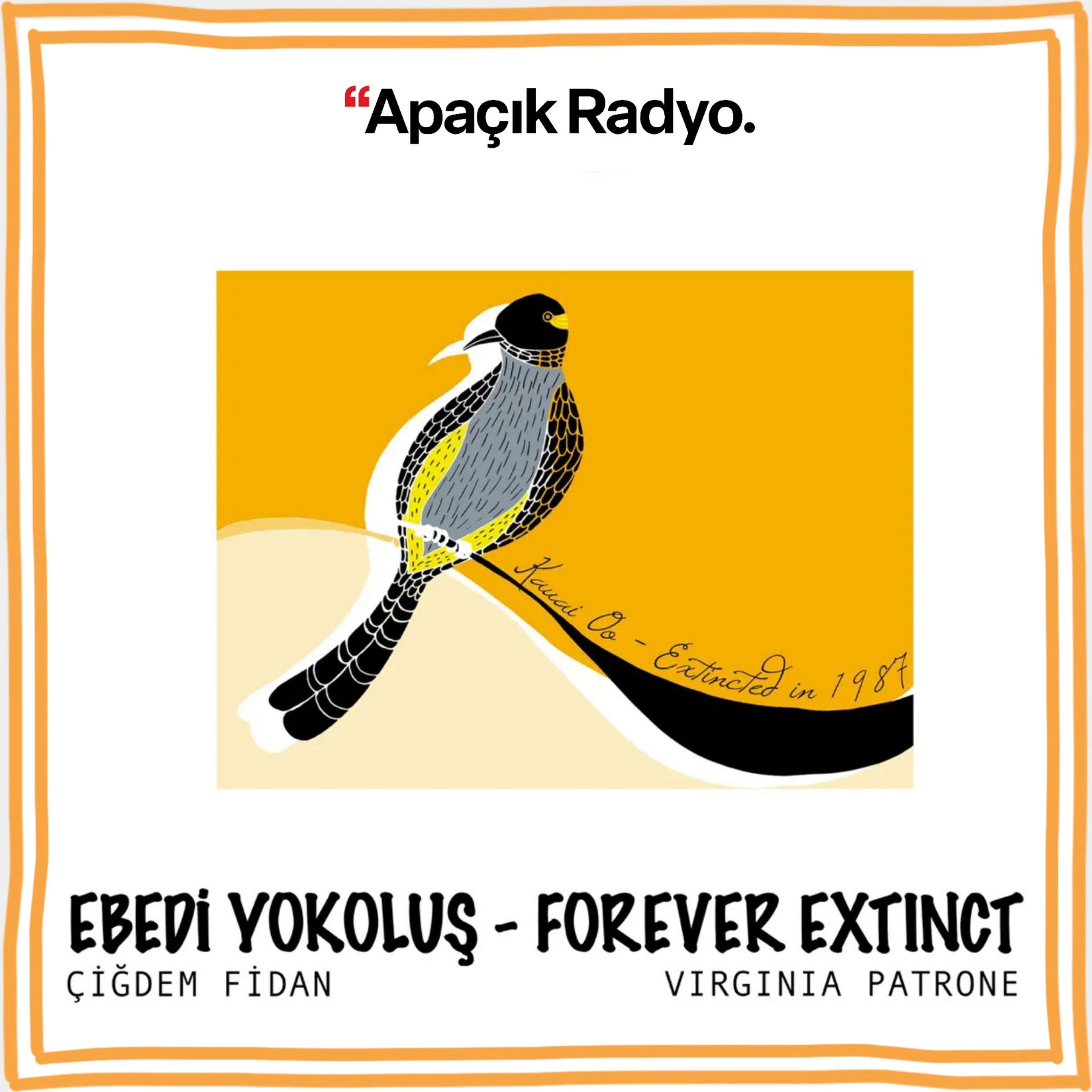 Ebedi Yokoluş - Forever Extinct: Kauai 'O'o Kuşu