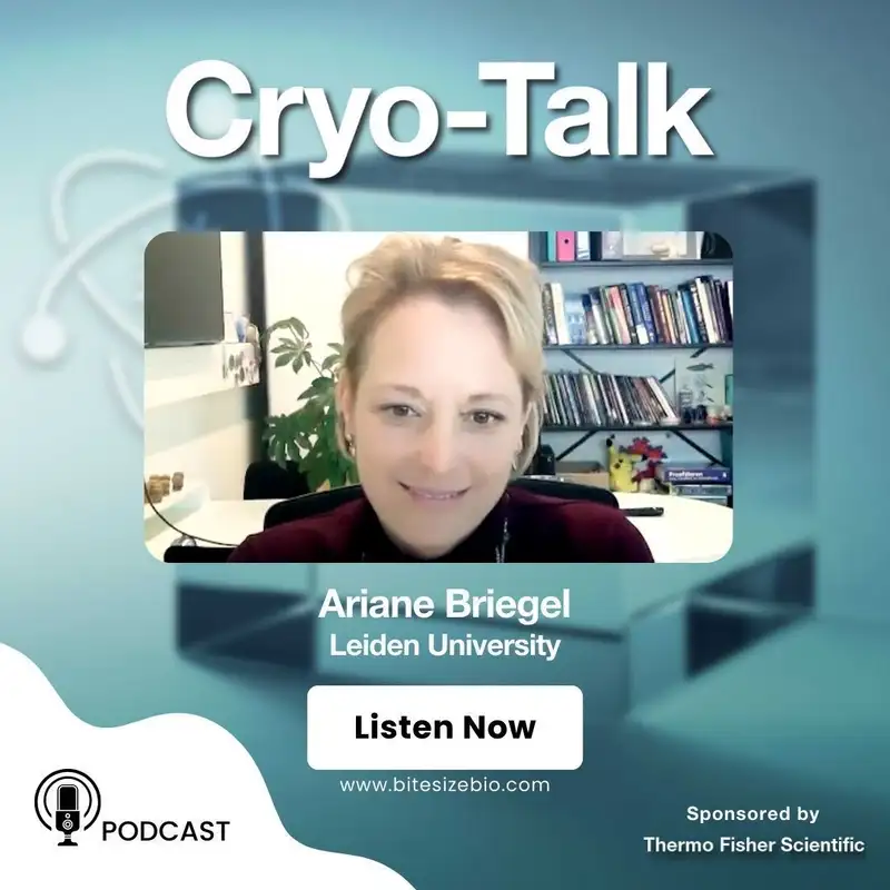 Cryo-Talk interviews Ariane Briegel (Leiden University)