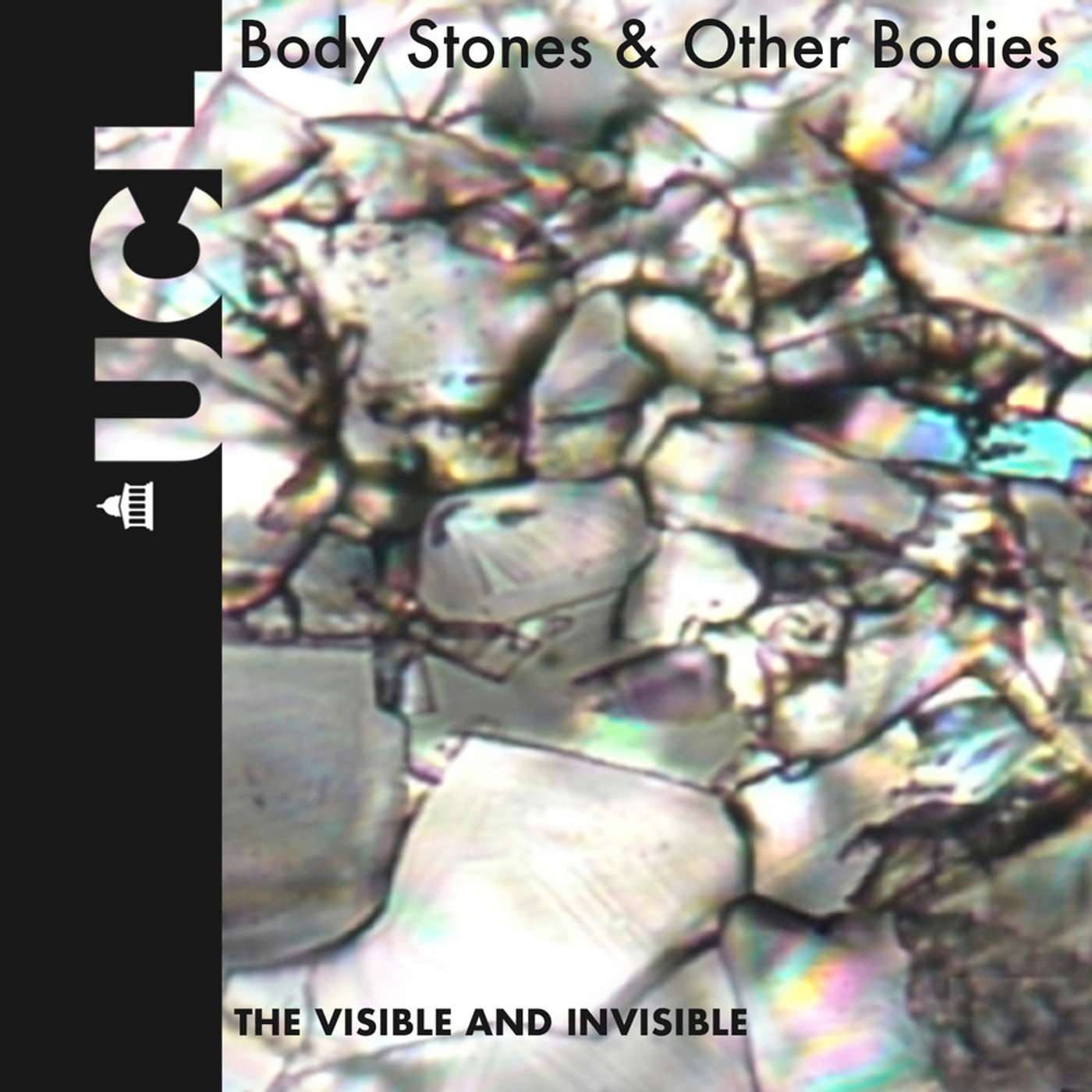 THE VISIBLE AND INVISIBLE