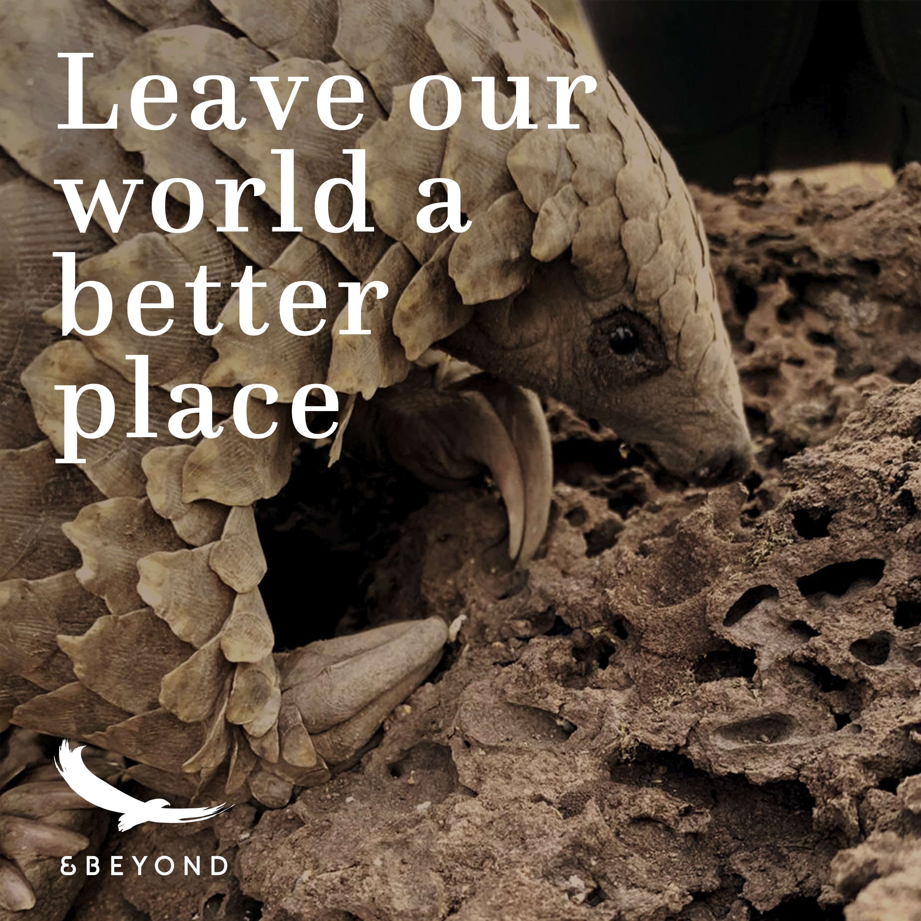 Better World