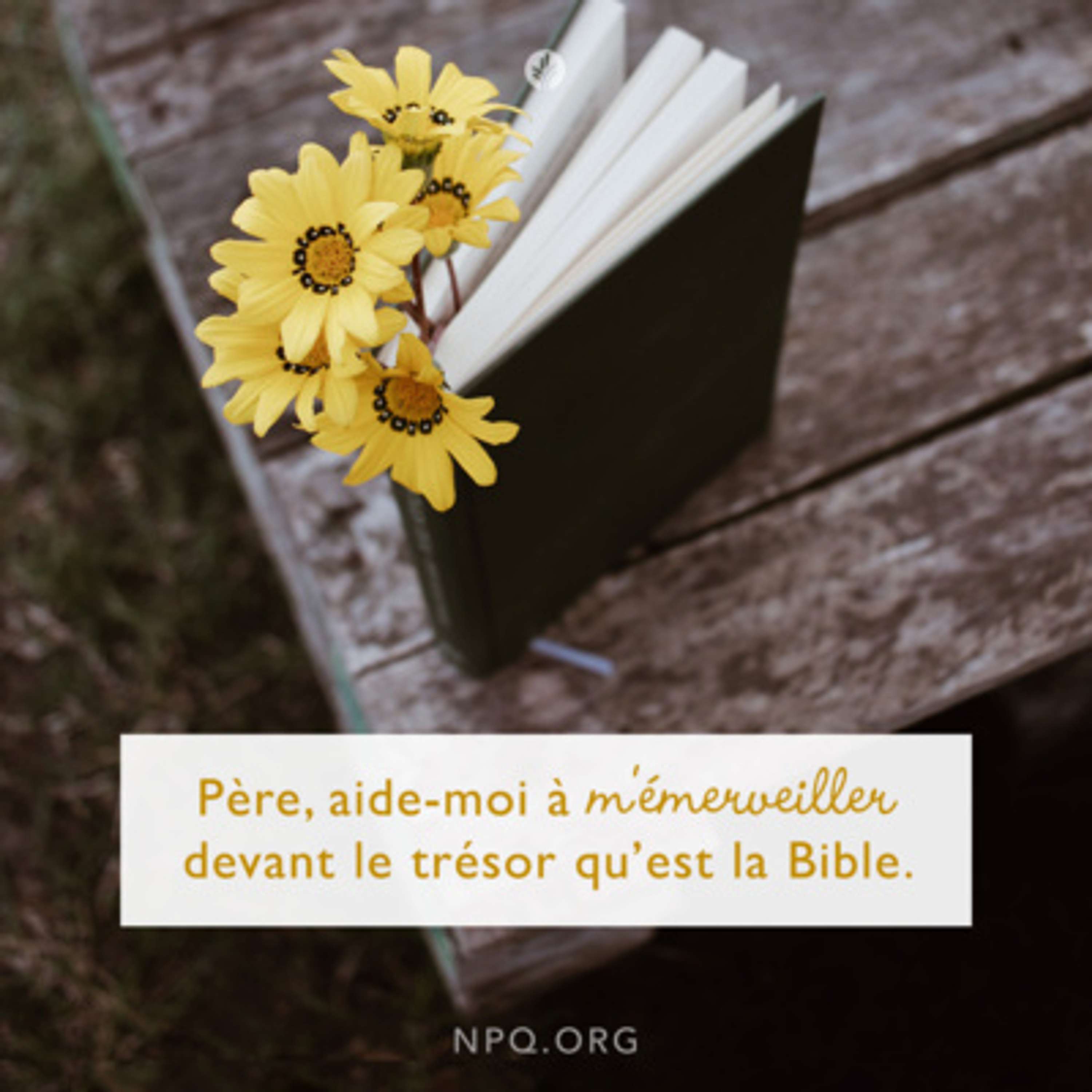 Notre Pain Quotidien podcast