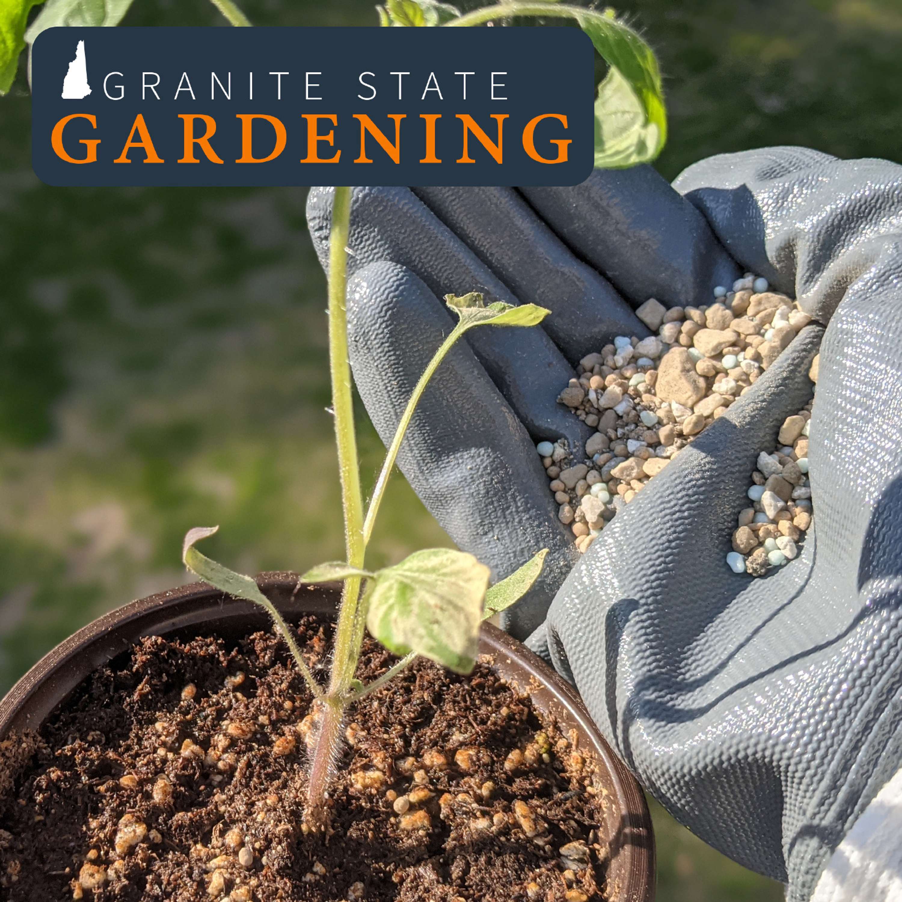 Choosing and Using Fertilizers in the Yard and Garden 