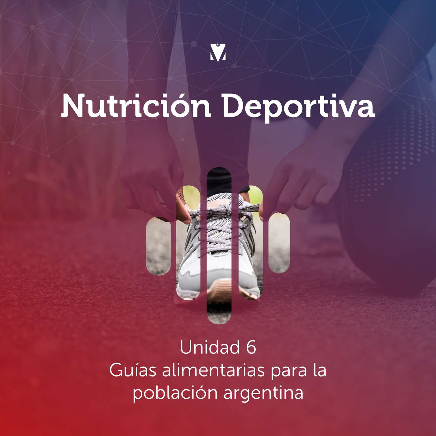 6 - NUTRICIÓN DEPORTIVA: Unidad 6 - Guías alimentarias para la población argentina
