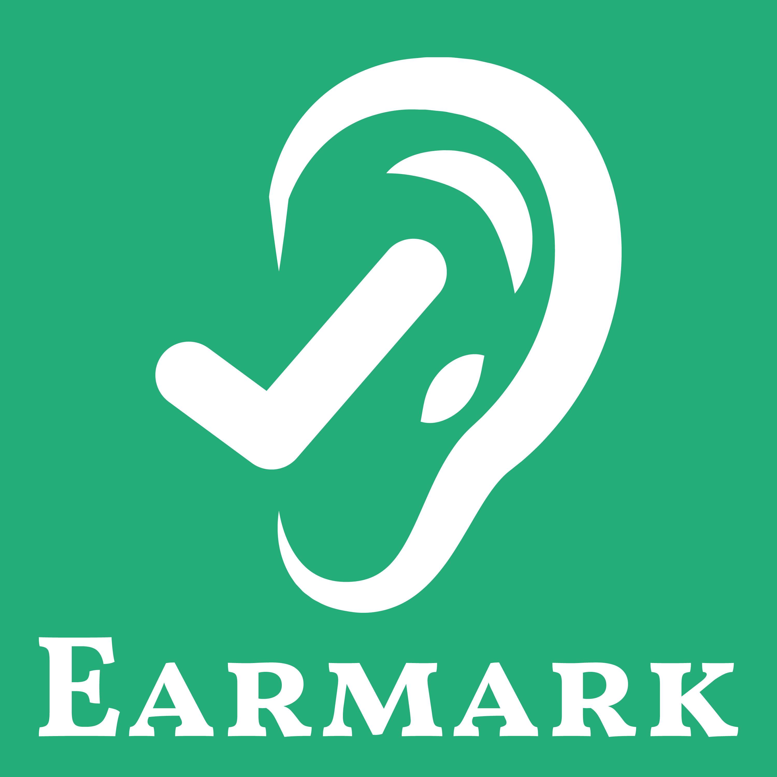 The Accounting Podcast