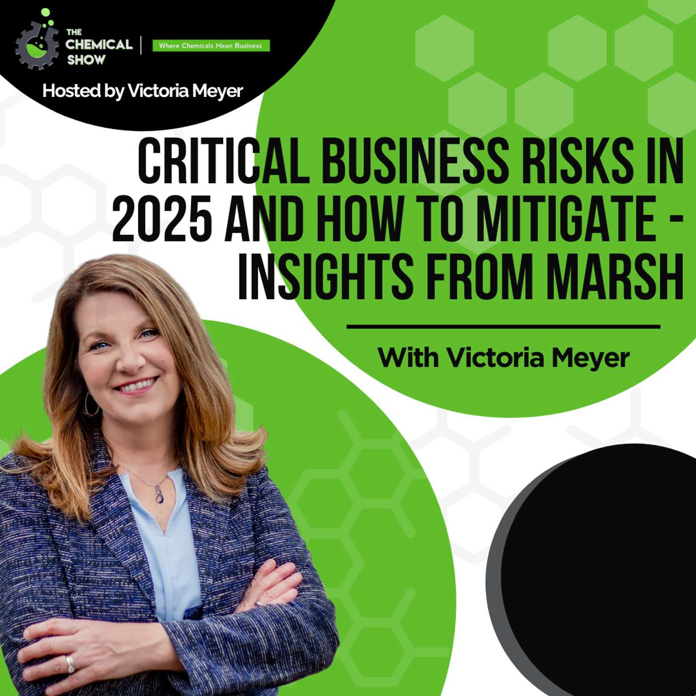 Critical Business Risks in 2025 and How to Mitigate - Insights from Marsh - Ep. 203