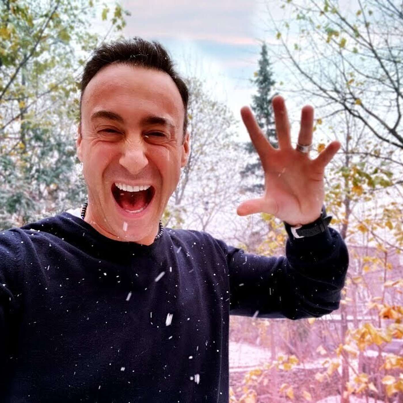 Le Podcast de Franck Nicolas