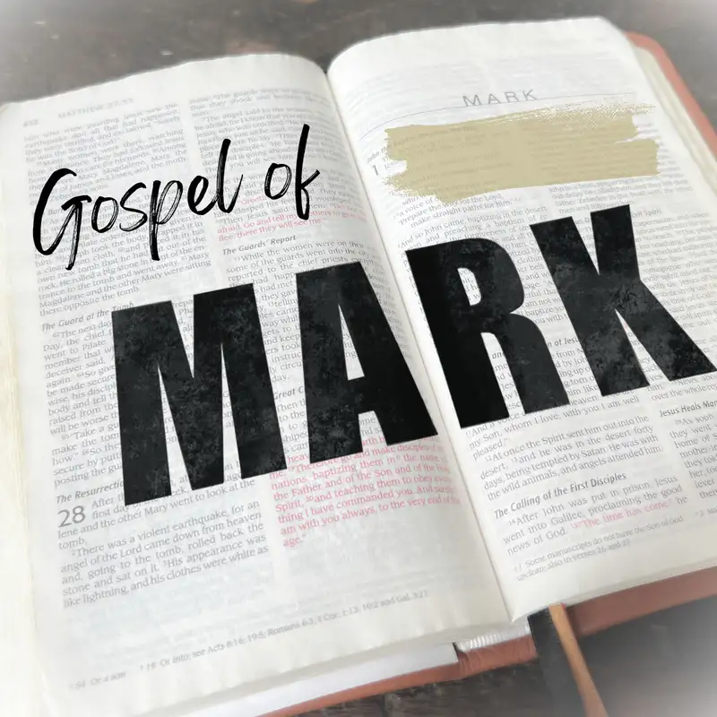 Gospel of Mark The Vineyard and the Tenants