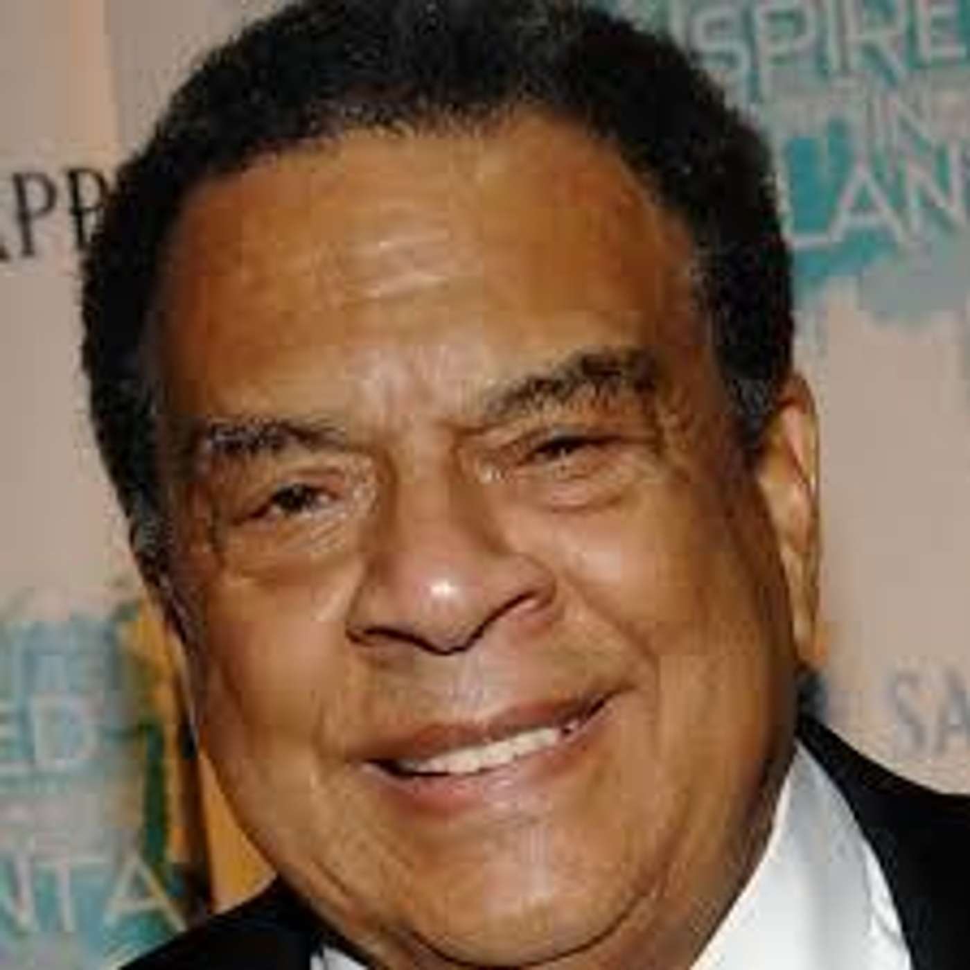 Andrew Young on MLK with Drs Frank Schmidt & Stephen Graves episode artwork