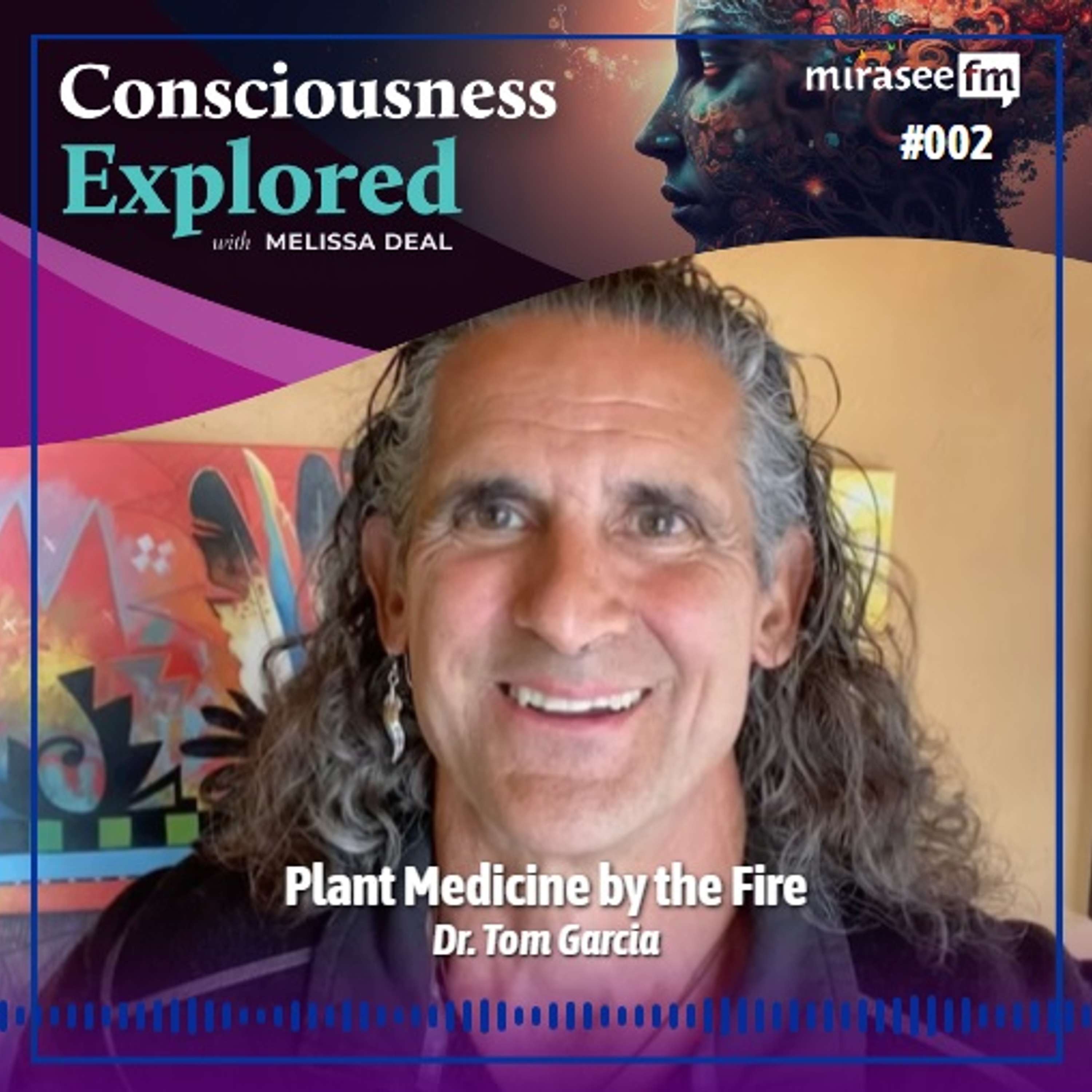 Consciousness Explored