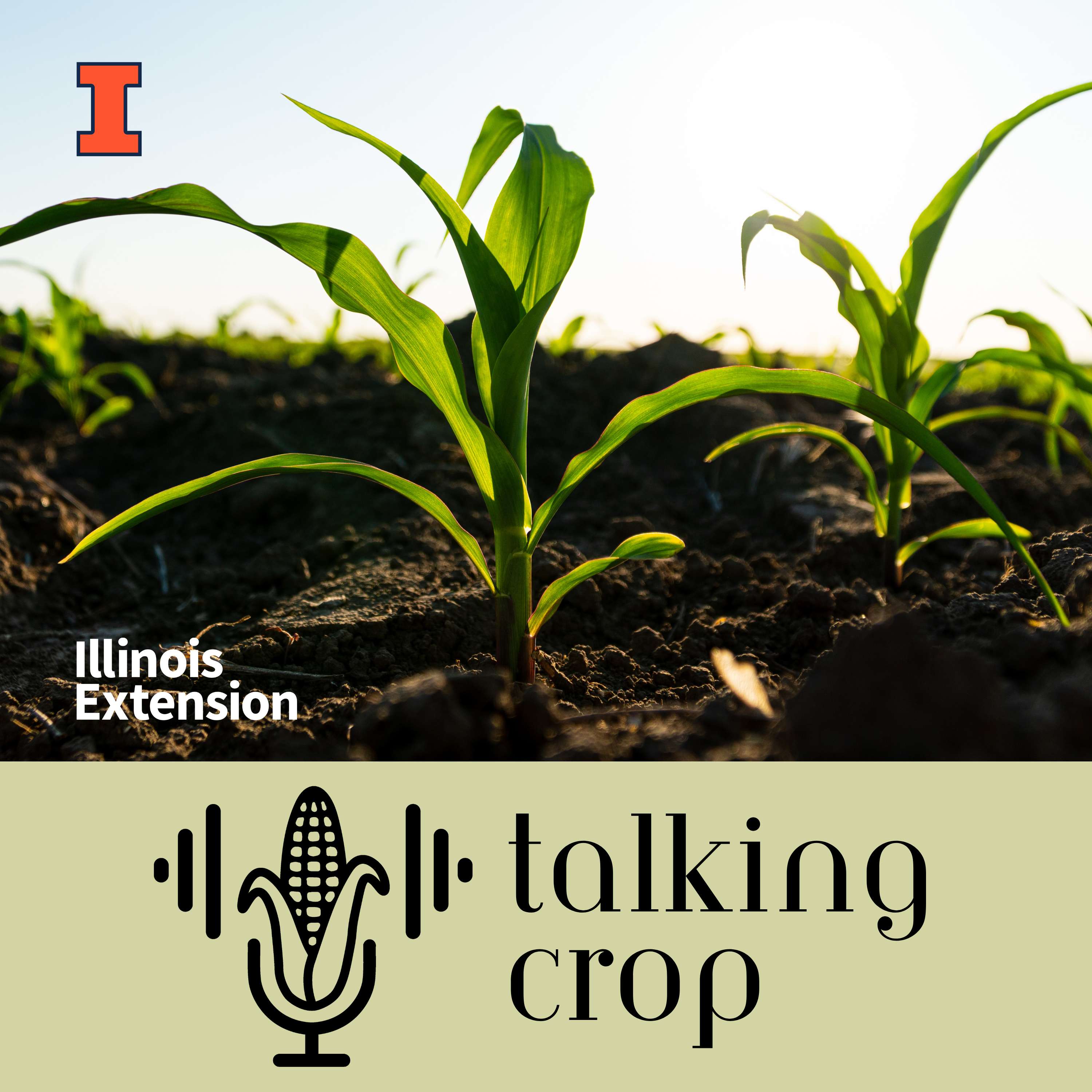 Talking Crop