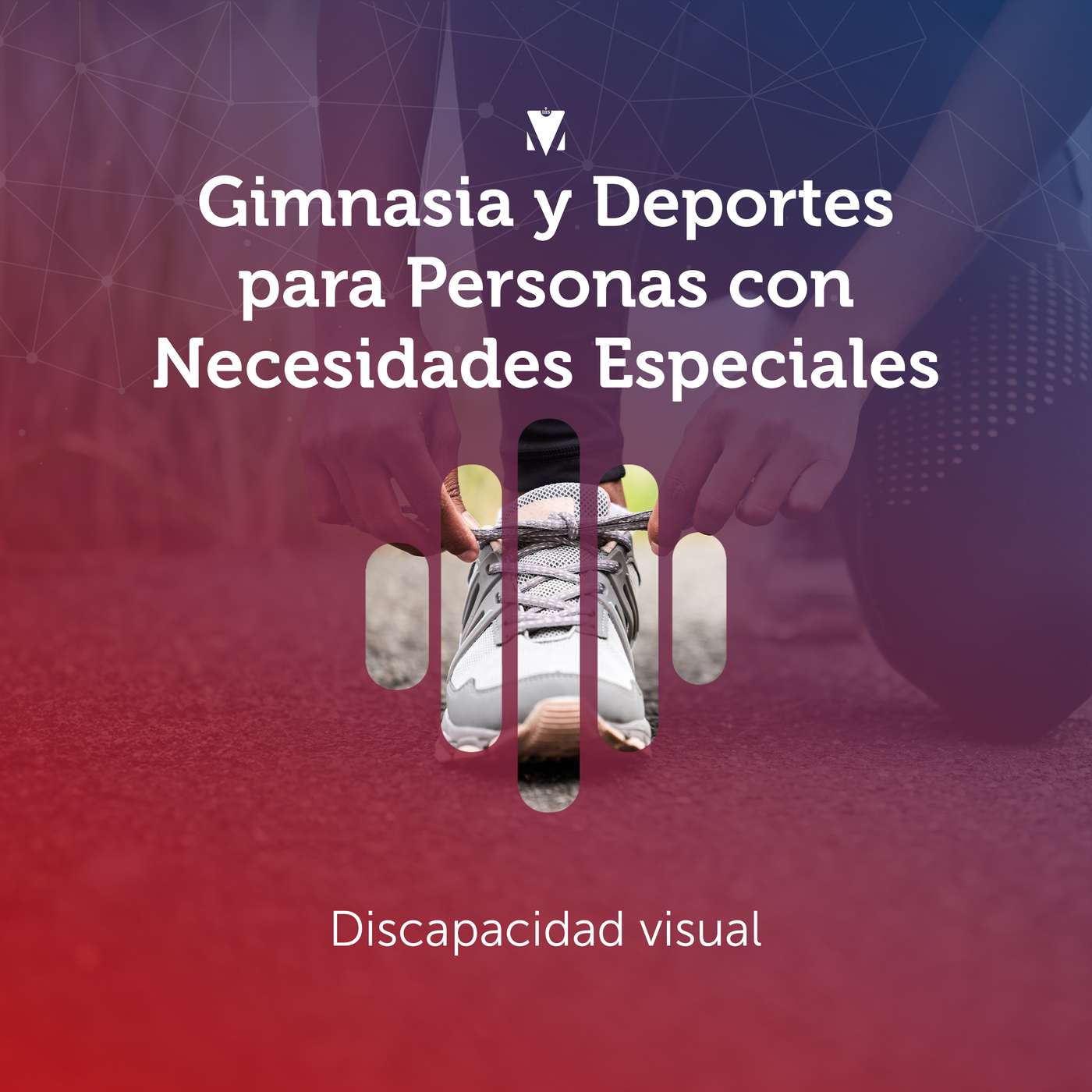 3 - GIMNASIA Y DEPORTES PARA PERSONAS CON NECESIDADES ESPECIALES: Discapacidad visual